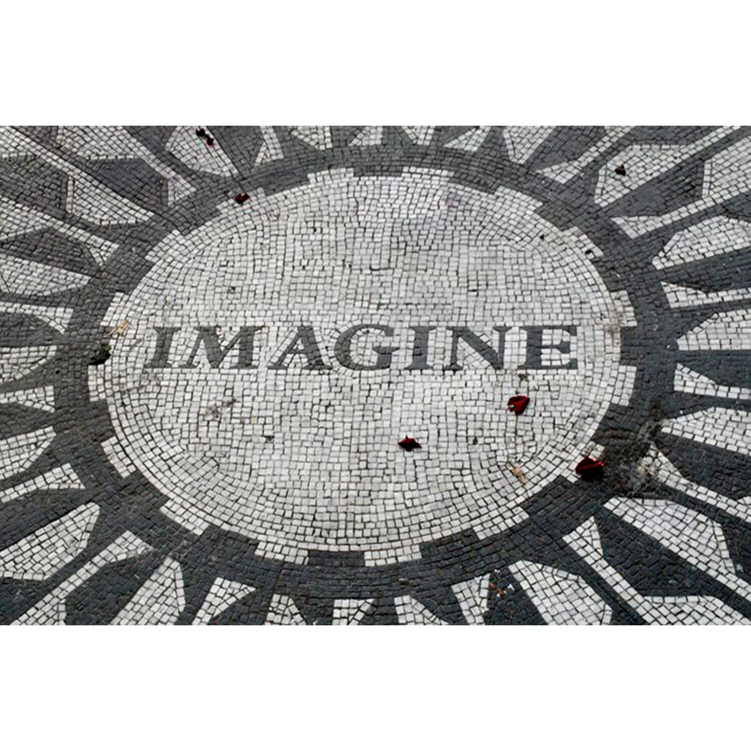 "Imagine" Photo by Kay Phelps