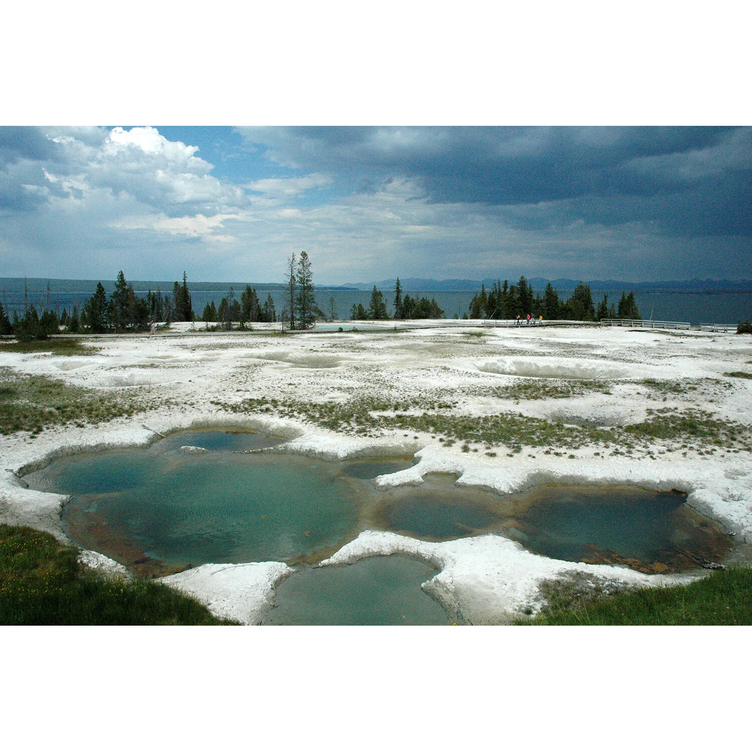 "Yellowstone Salt Flats" Photo by Kay Phelps