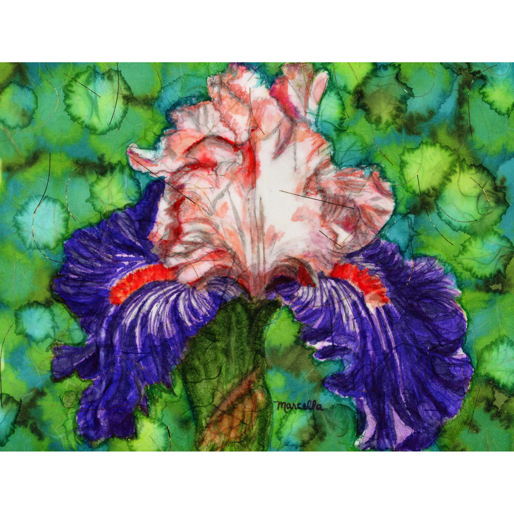 "Batik Iris" Print of Painting by Marcella Chapman