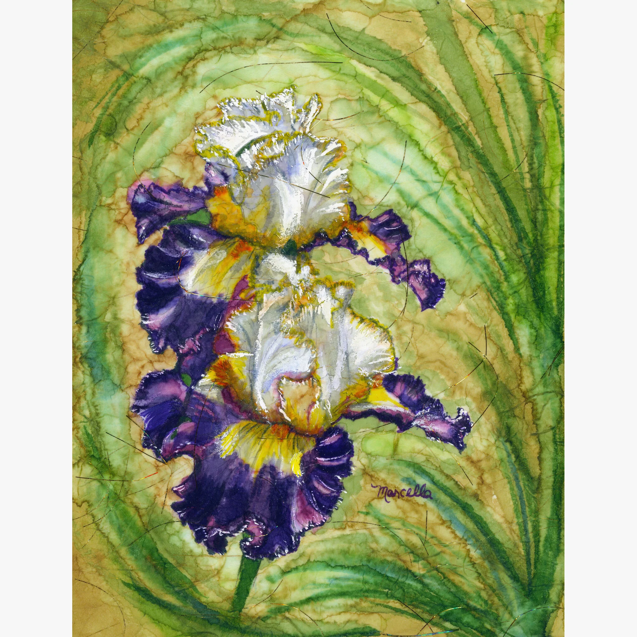 "Batik Iris 2" Print of Painting by Marcella Chapman
