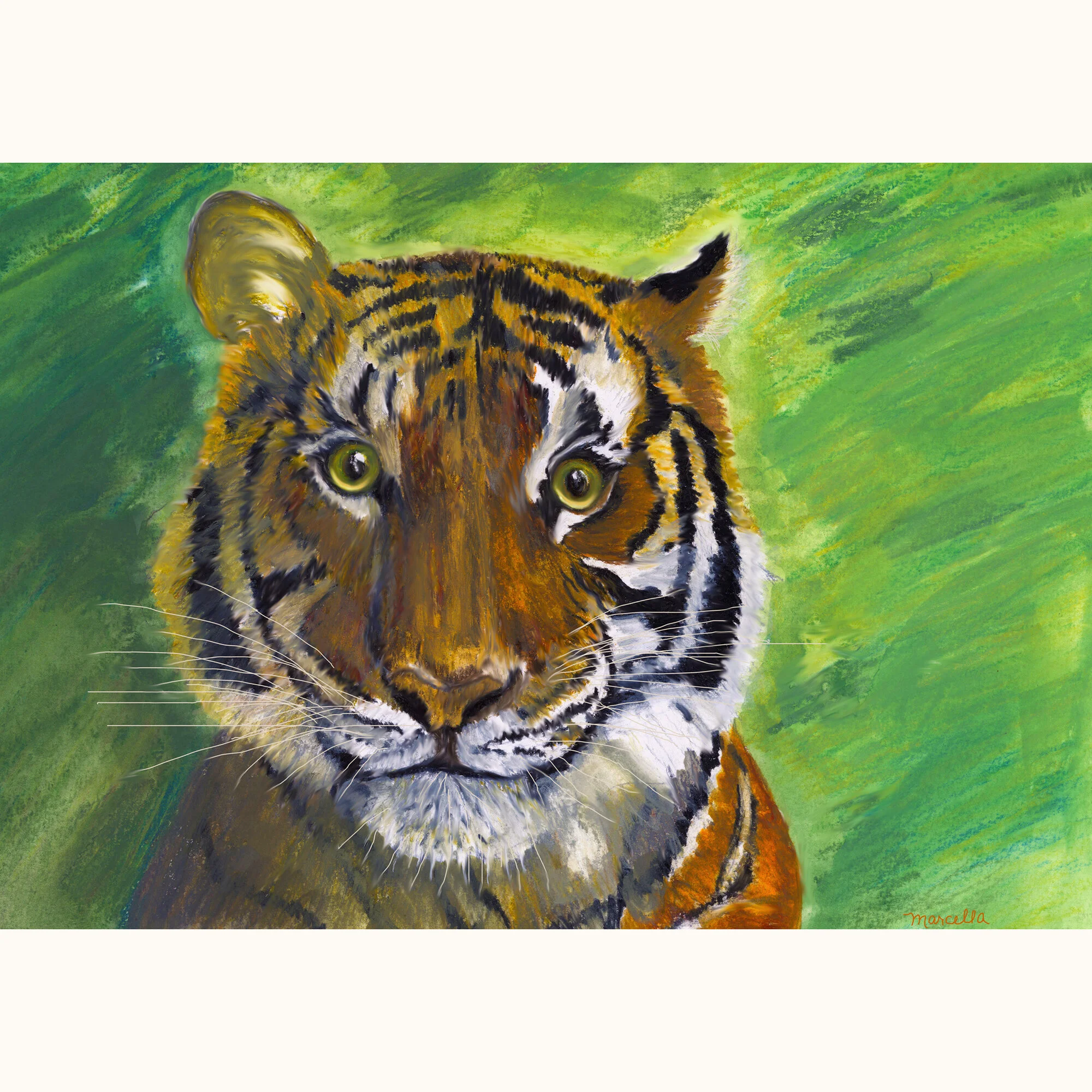 "Tiger" Print of Painting by Marcella Chapman