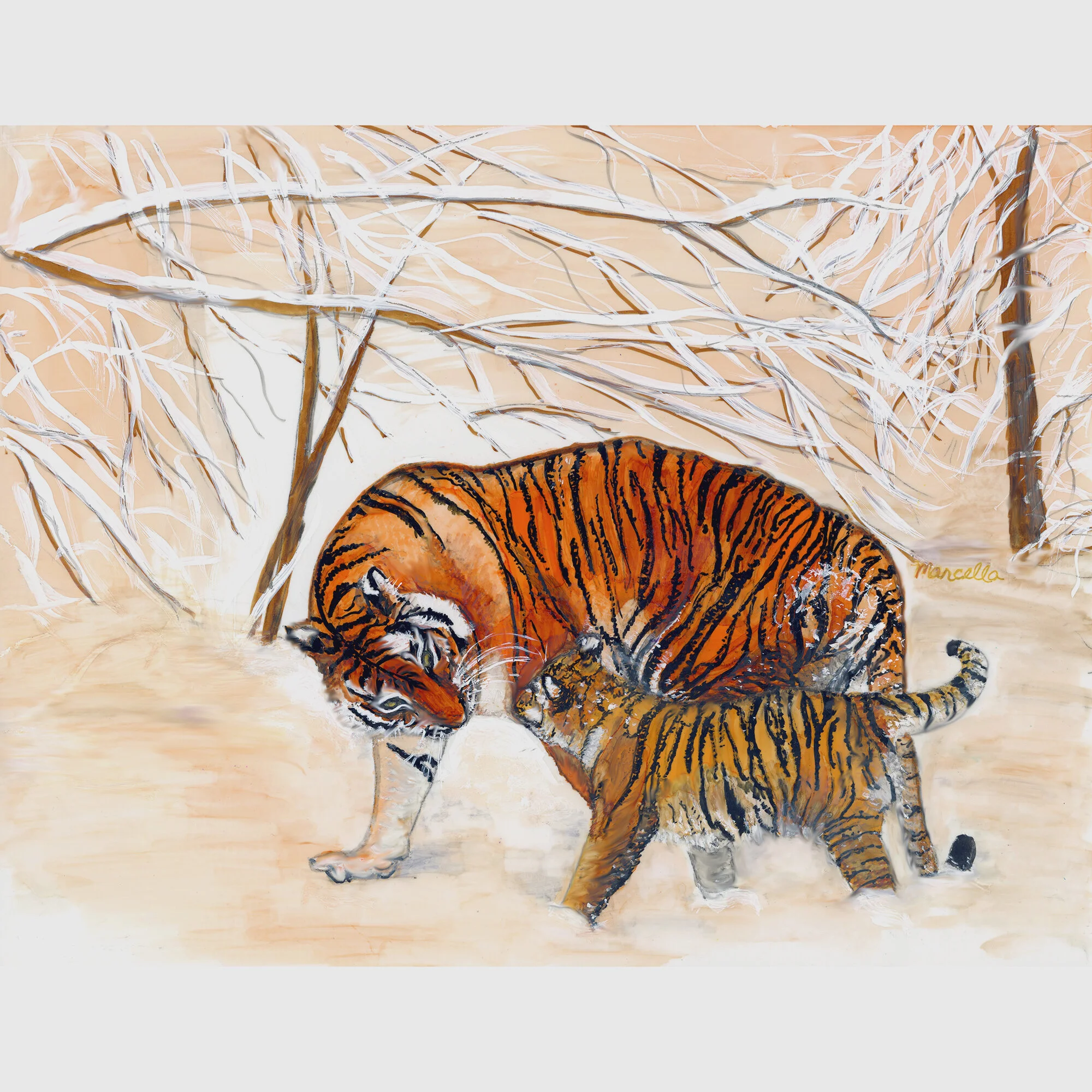 "Tigers in Winter" Print of Painting by Marcella Chapman