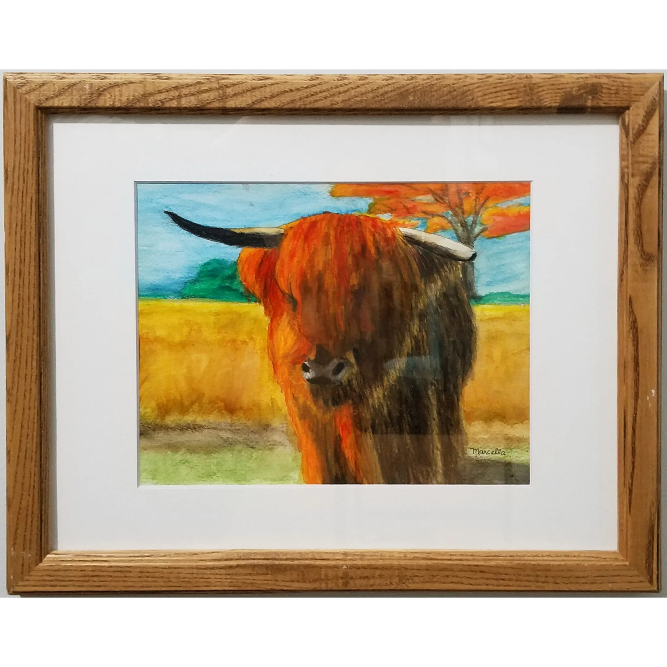 "Highland Cow" Painting by Marcella Chapman