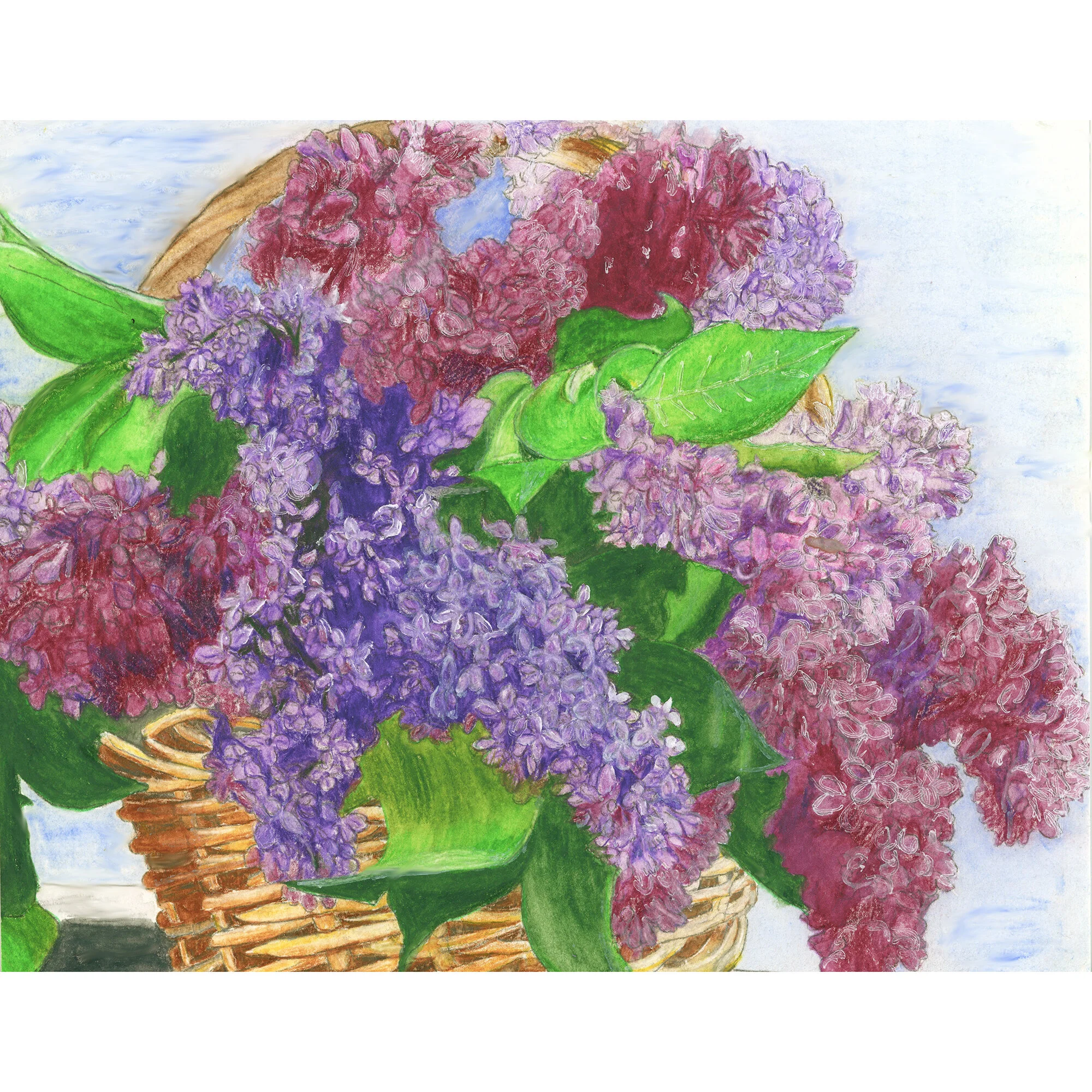 "Lilacs in Basket" Print of Painting by Marcella Chapman