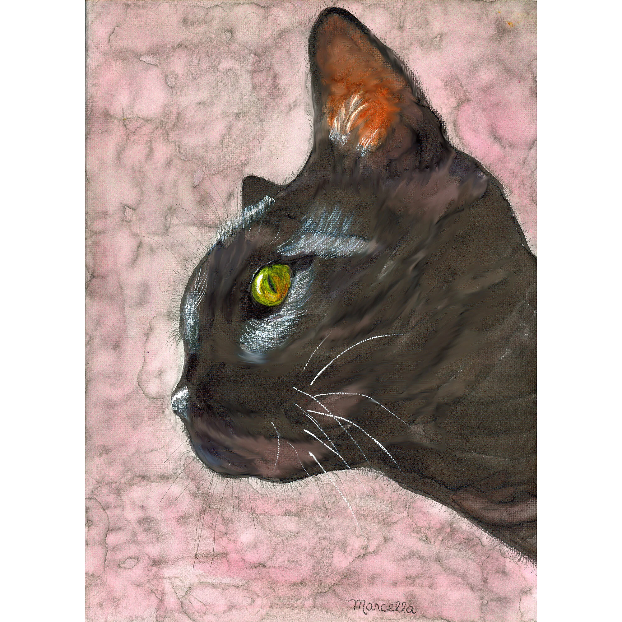 "Black Cat" Print of Painting by Marcella Chapman
