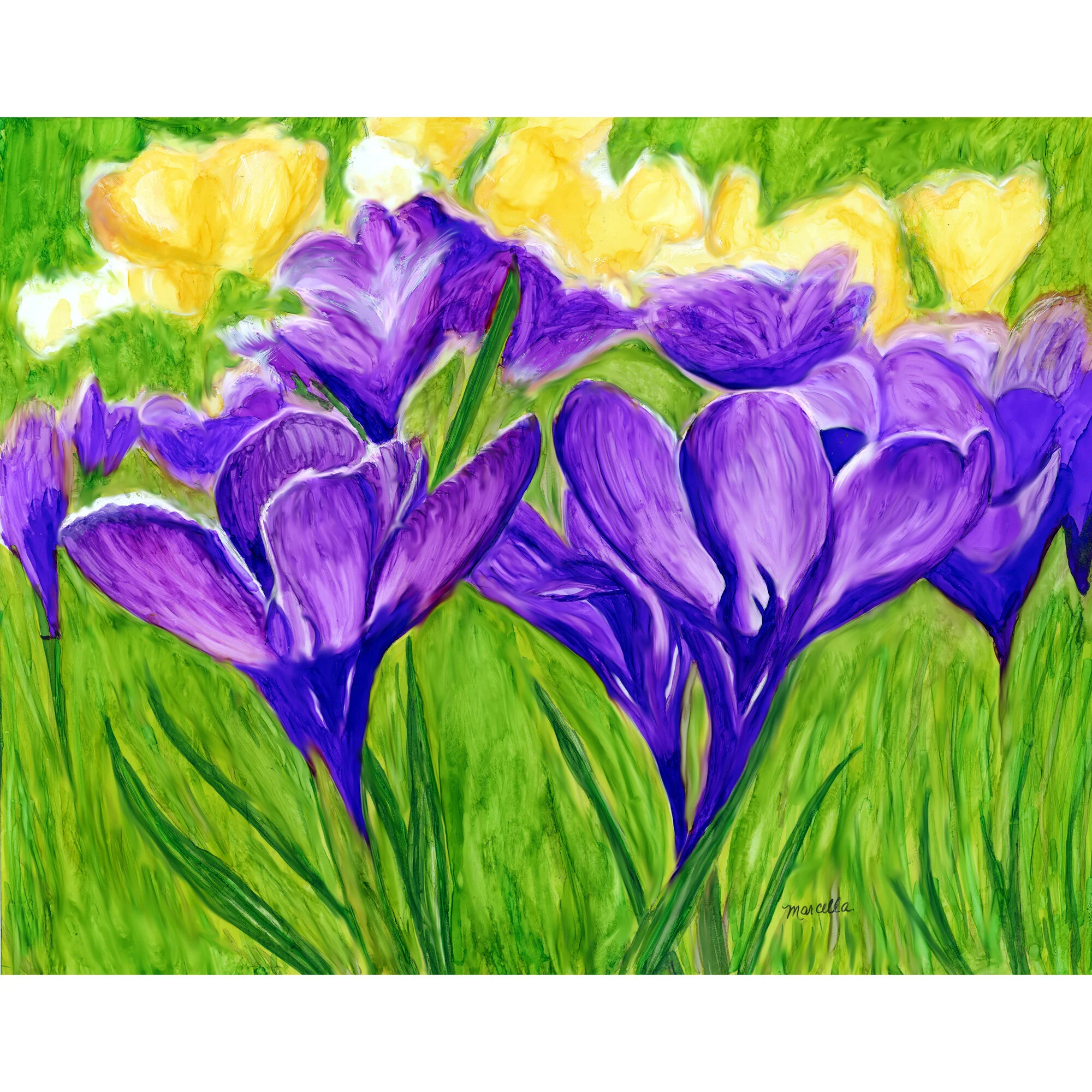 "Crocuses" Print of Painting by Marcella Chapman