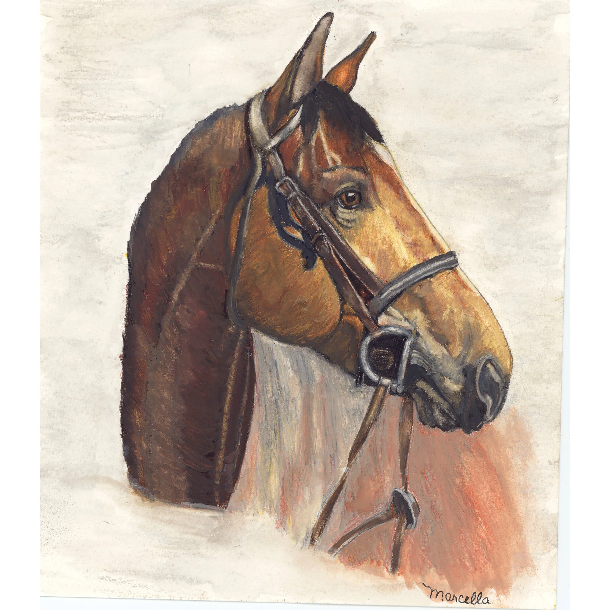 "Horse Portrait" Print of Painting by Marcella Chapman