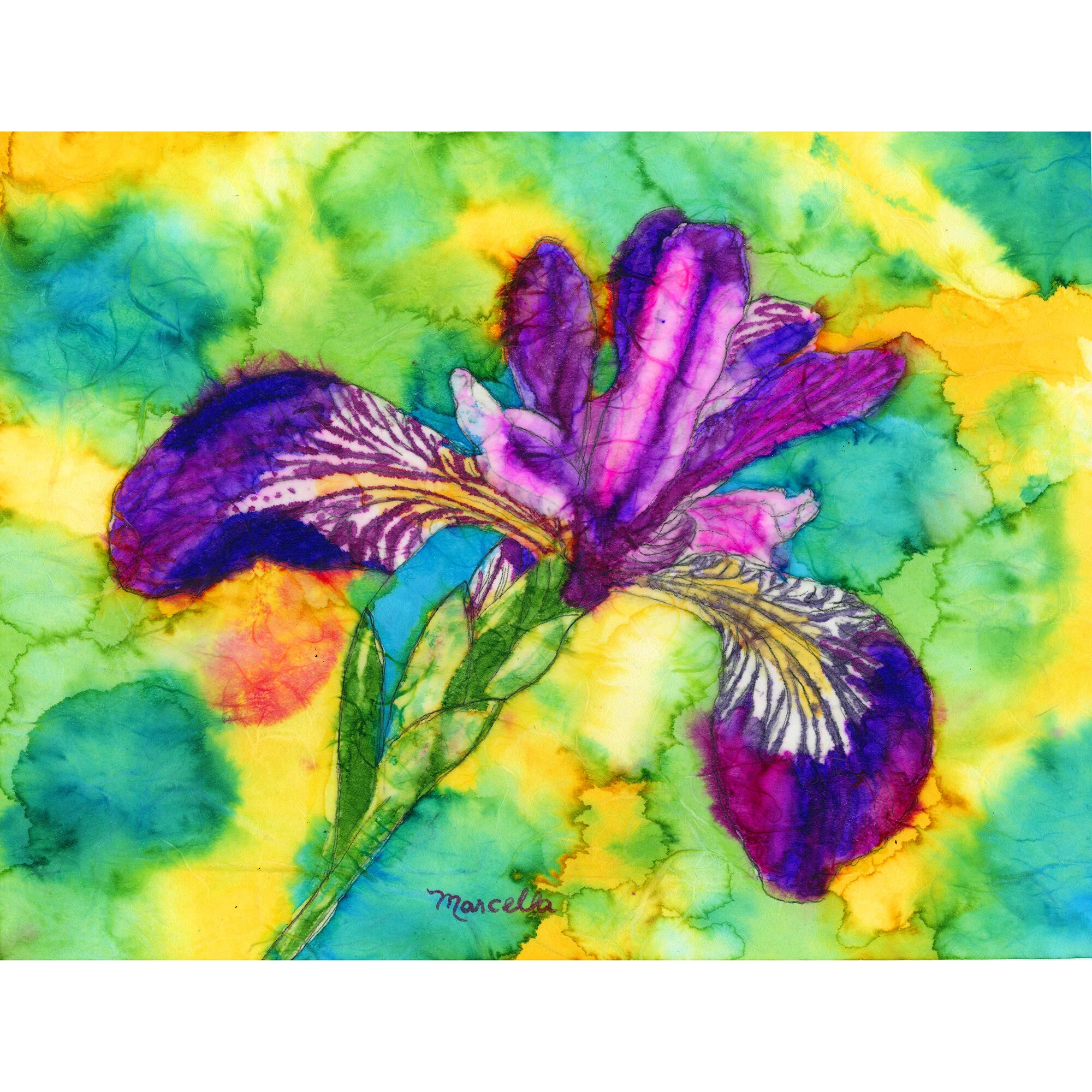"Iris 3" Print of Painting by Marcella Chapman