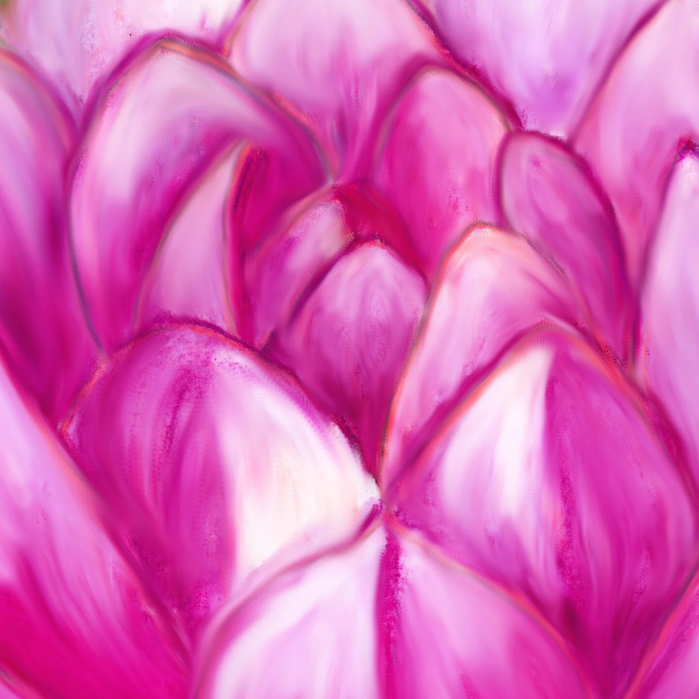 Lotus_Web_2.jpg