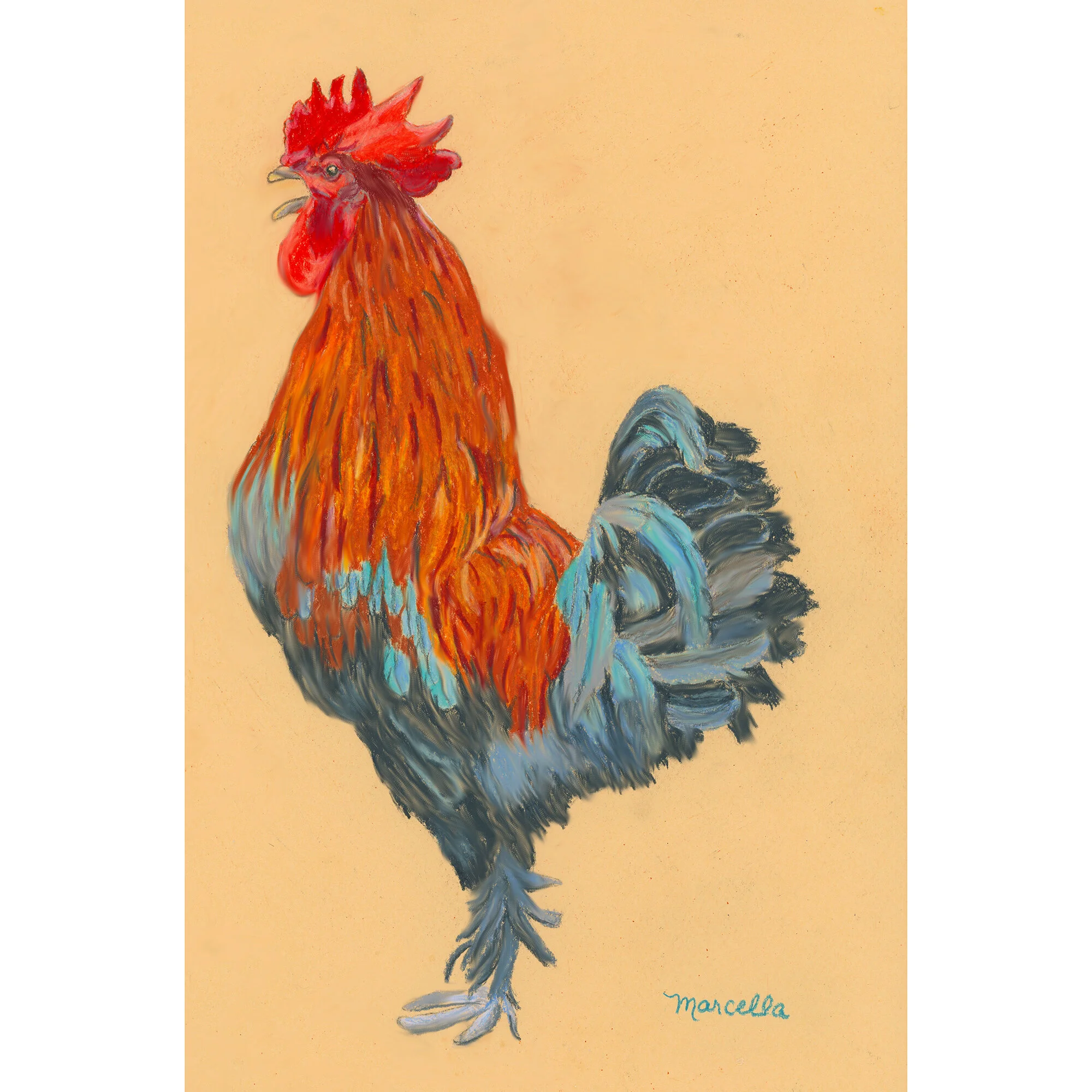 "Rooster" Print of Painting by Marcella Chapman