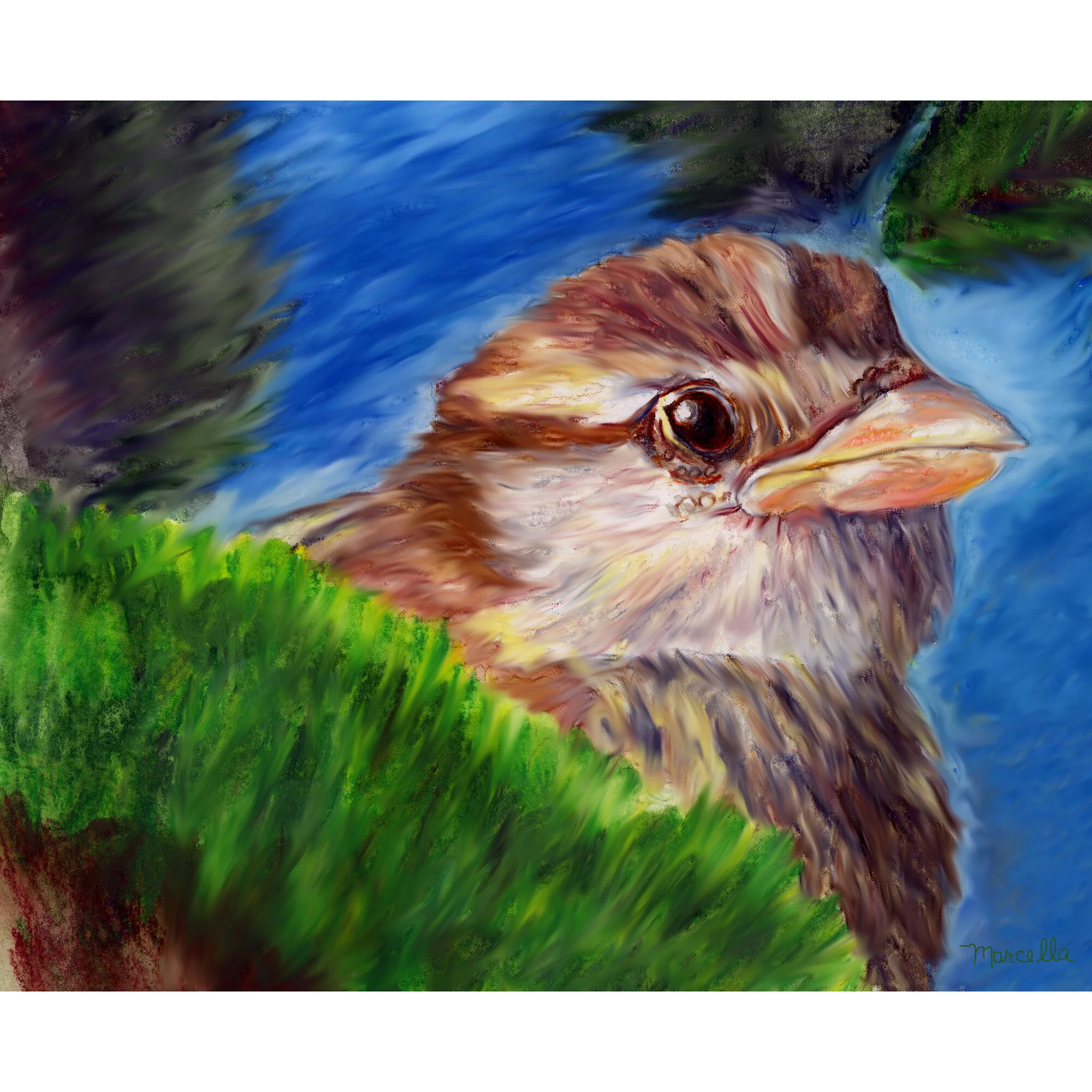 "Sharon's Bird" Print of Painting by Marcella Chapman