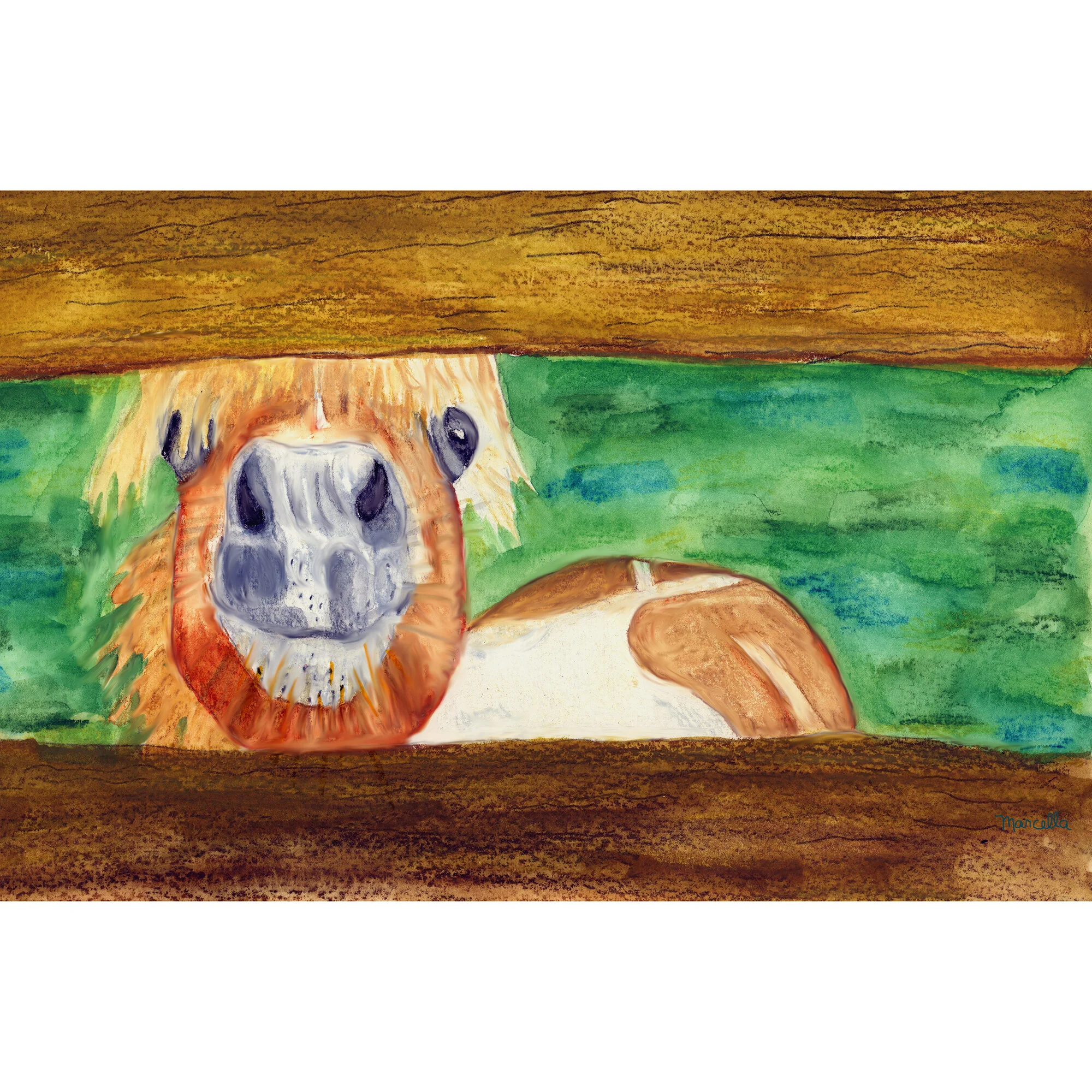"Silly Horse" Print of Painting by Marcella Chapman