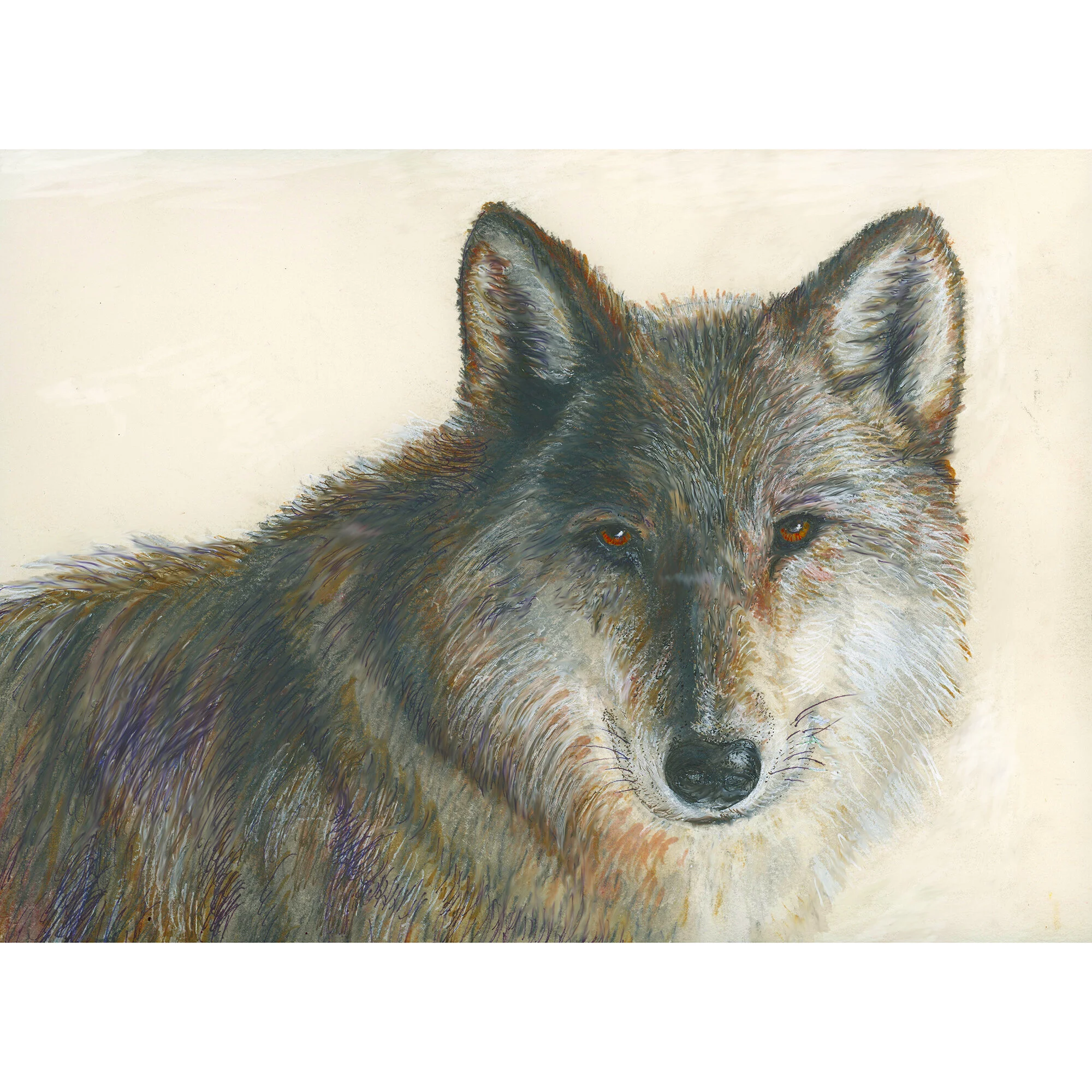 "Spirit Wolf" Print of Painting by Marcella Chapman