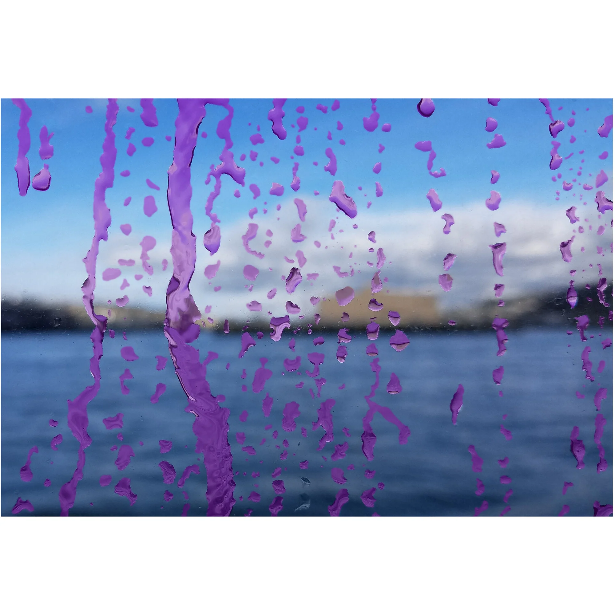 "Purple Rain" Limited Edition Print by Kay Phelps