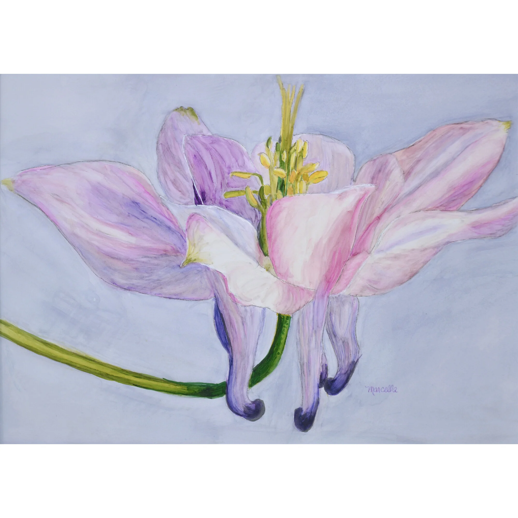 "Summer Dreams" Print of Painting by Marcella Chapman