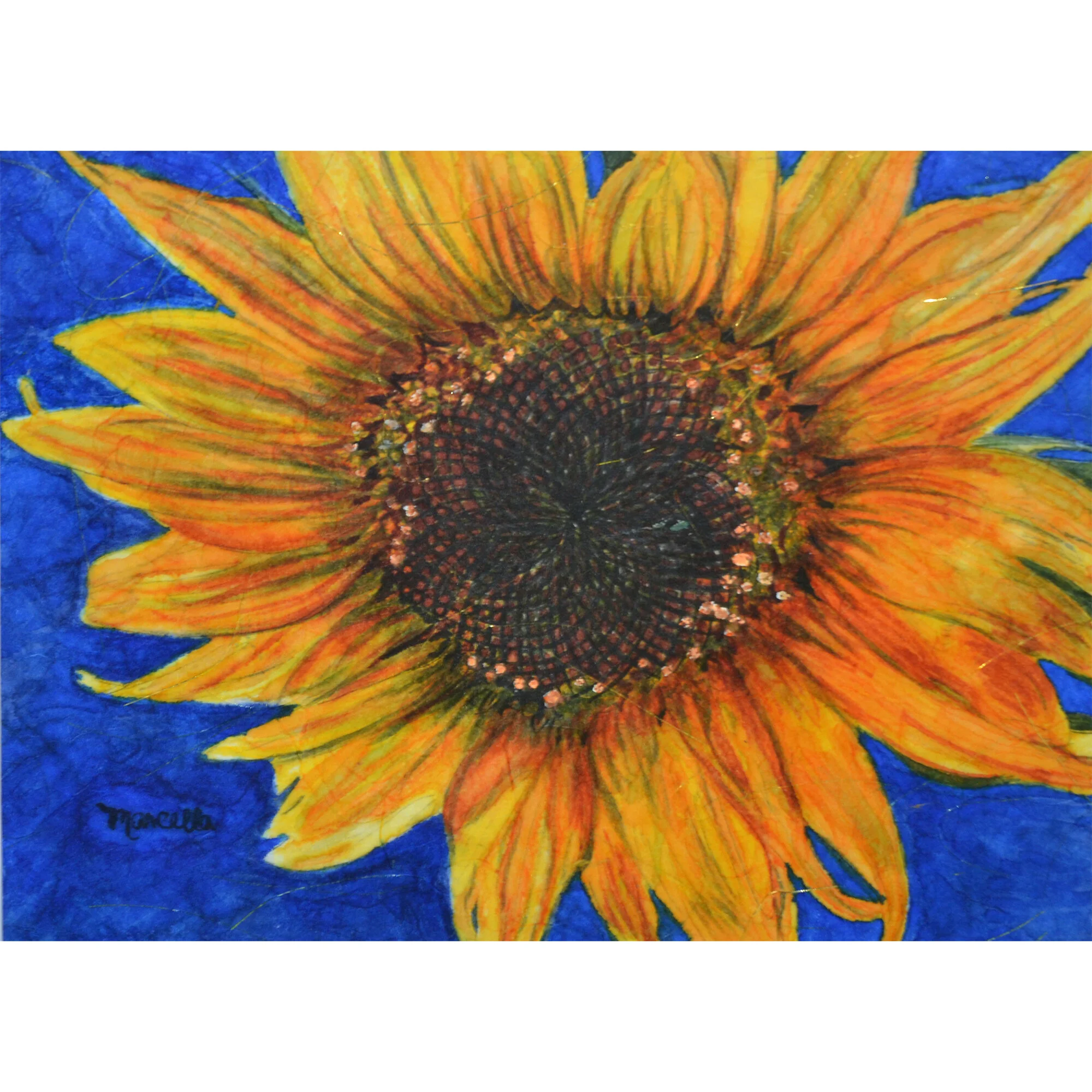 "Sunflower on Mulberry" Print of Painting by Marcella Chapman
