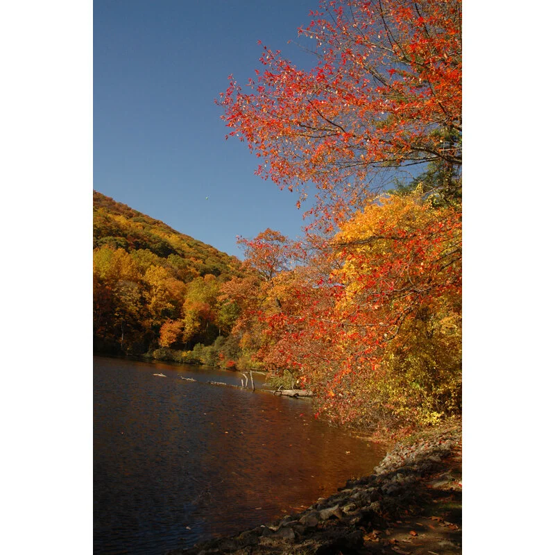 "Bear Mountain Lake in Fall" Photo by Kay Phelps