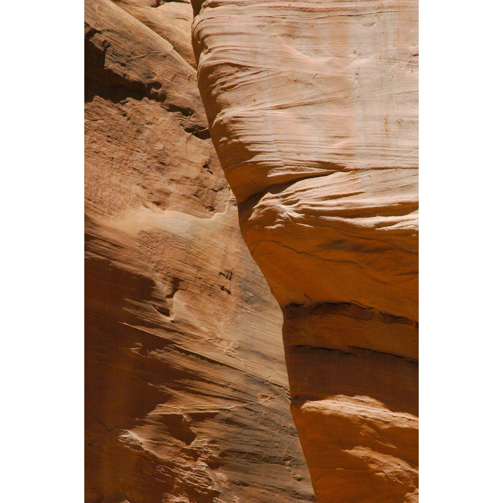 "Sand Dune Arch" Photo by Kay Phelps