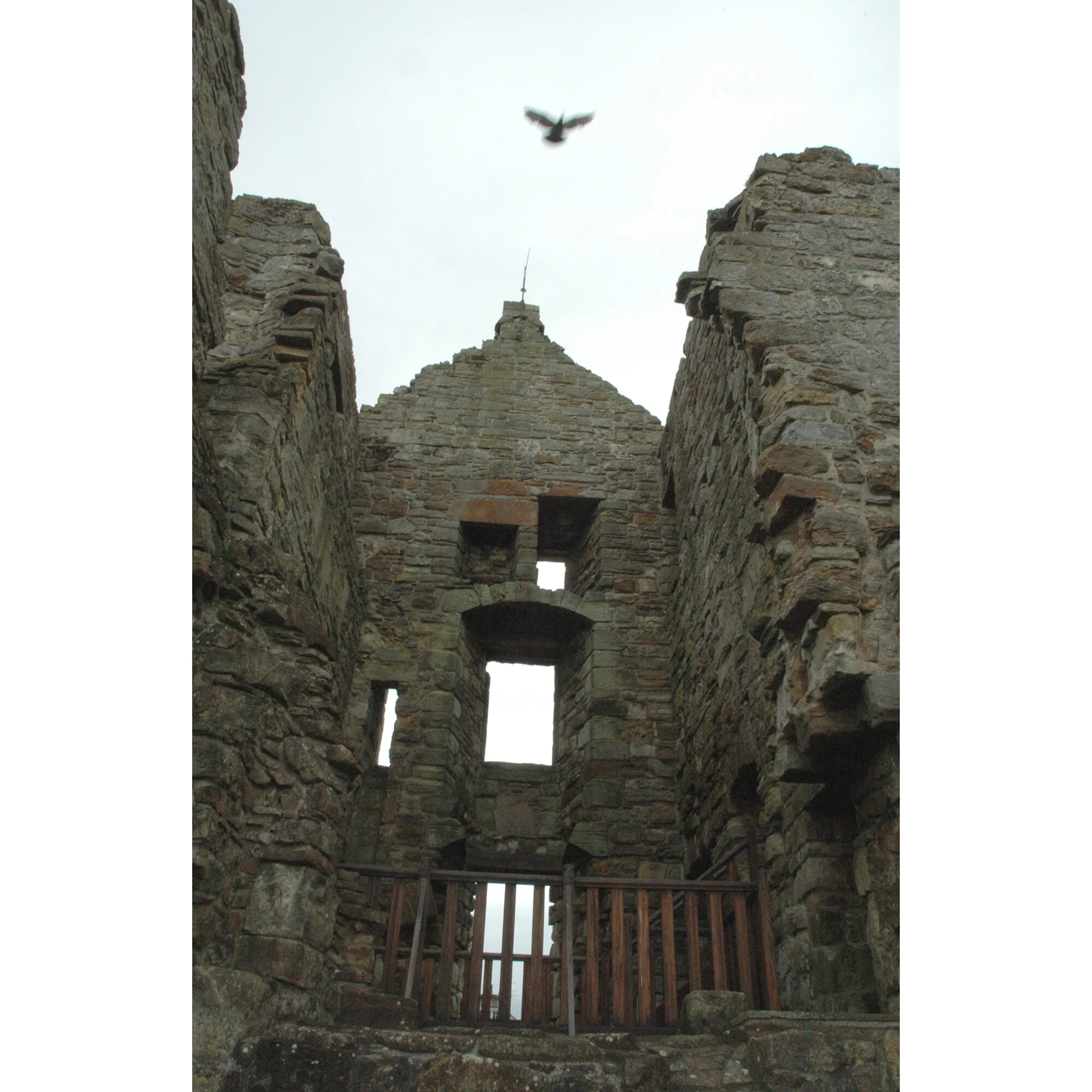 "St. Andrews" Photo by Kay Phelps