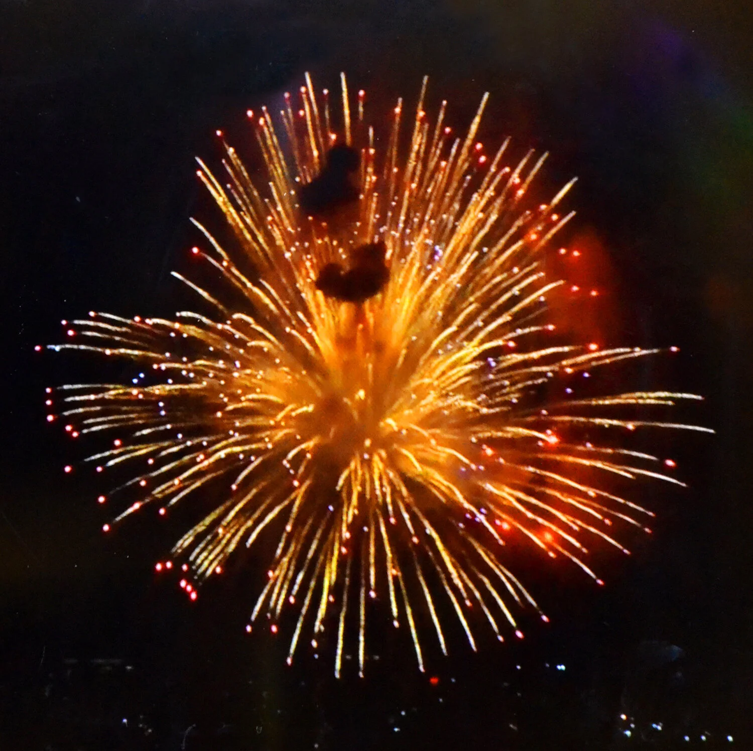"Firework" Photo by Kay Phelps