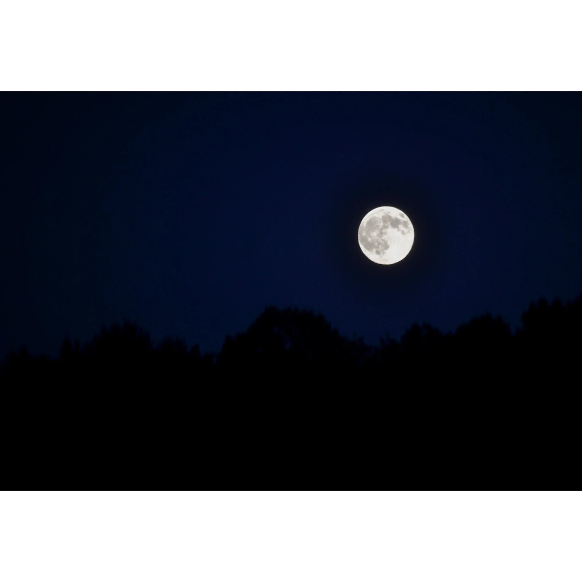 "Full Moon" Photo by Kay Phelps