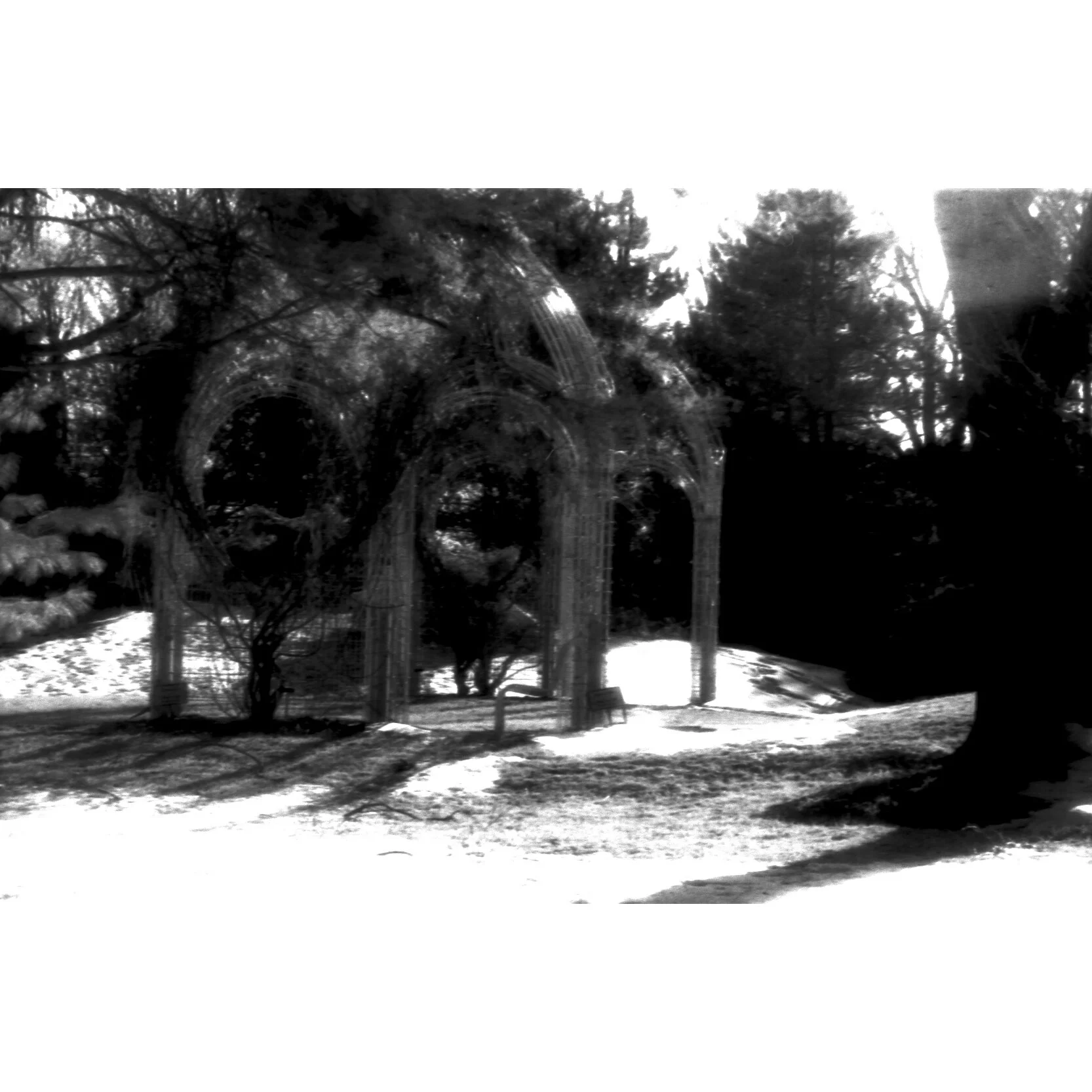 "Naturerealm Gazebo" Photo by Kay Phelps