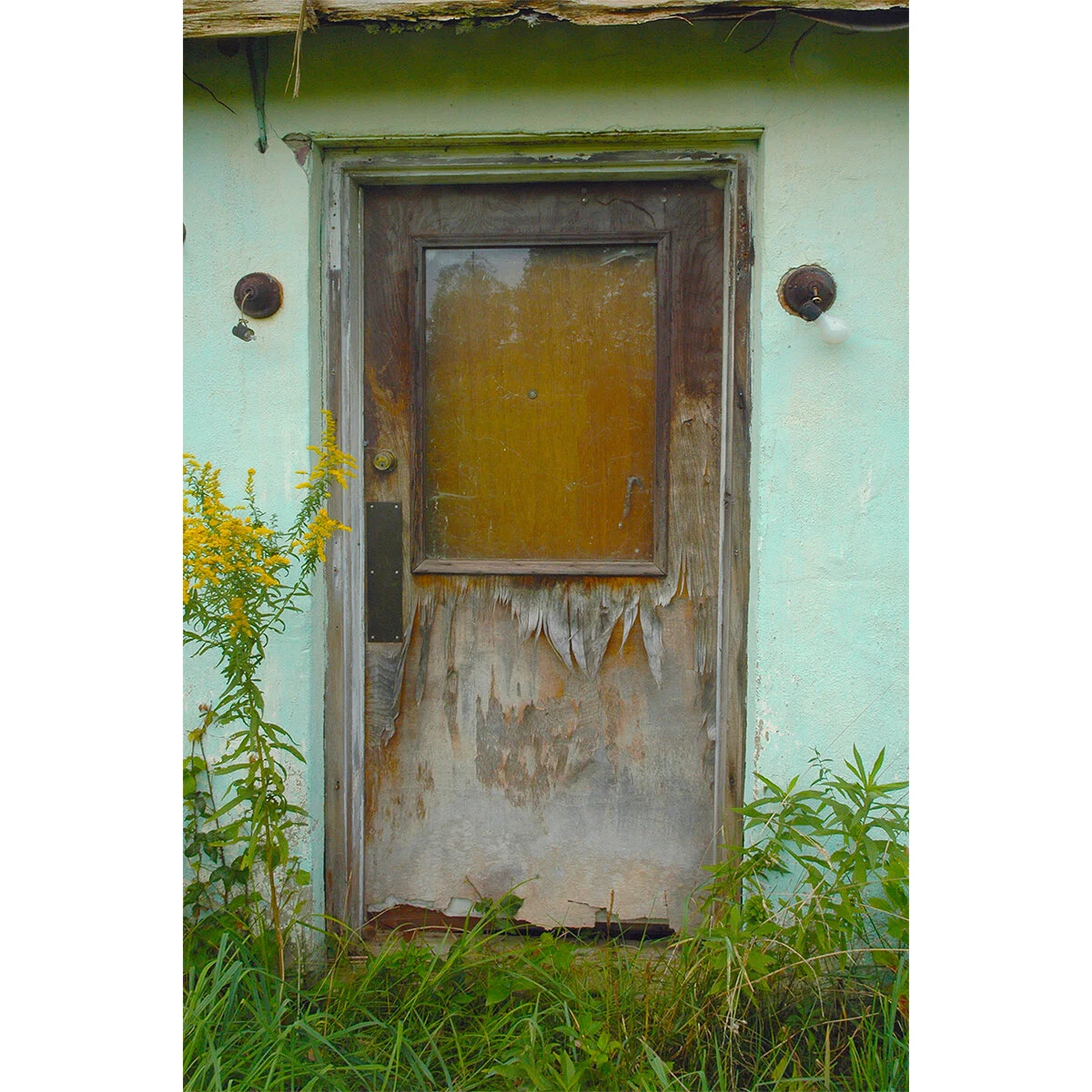 "Kent Door" Photo by Kay Phelps