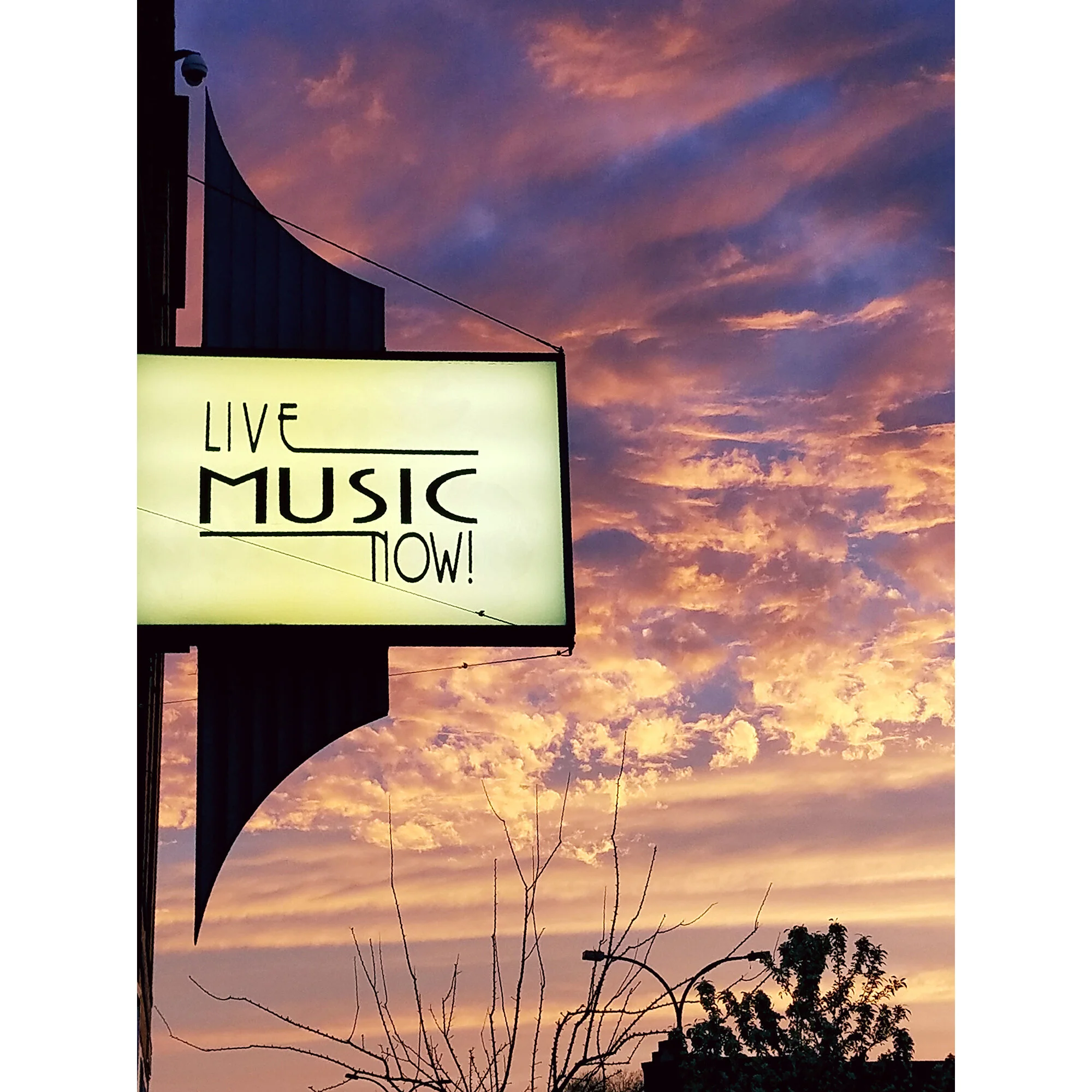 "Live Music Now" Photo by Kay Phelps