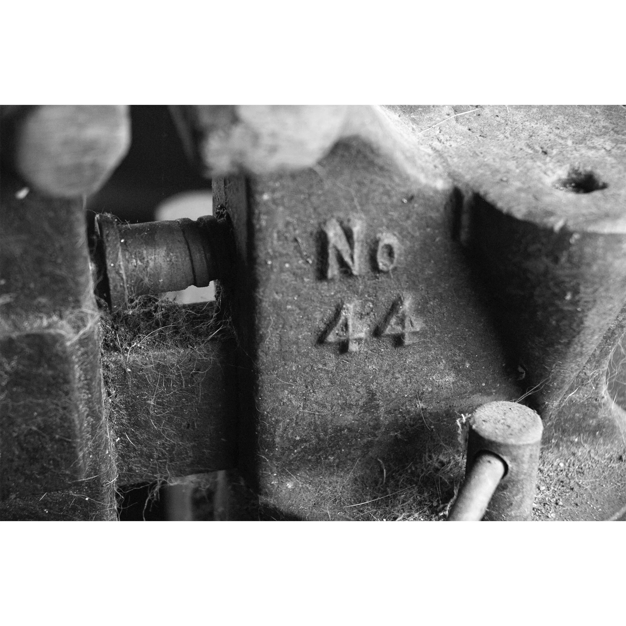 "No. 44" Photo by Kay Phelps