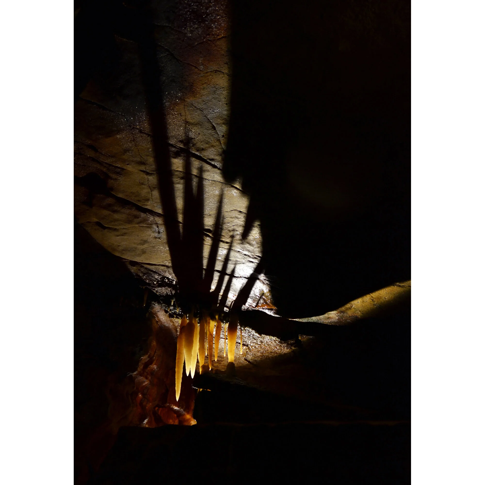 "Stalactites" Photo by Kay Phelps
