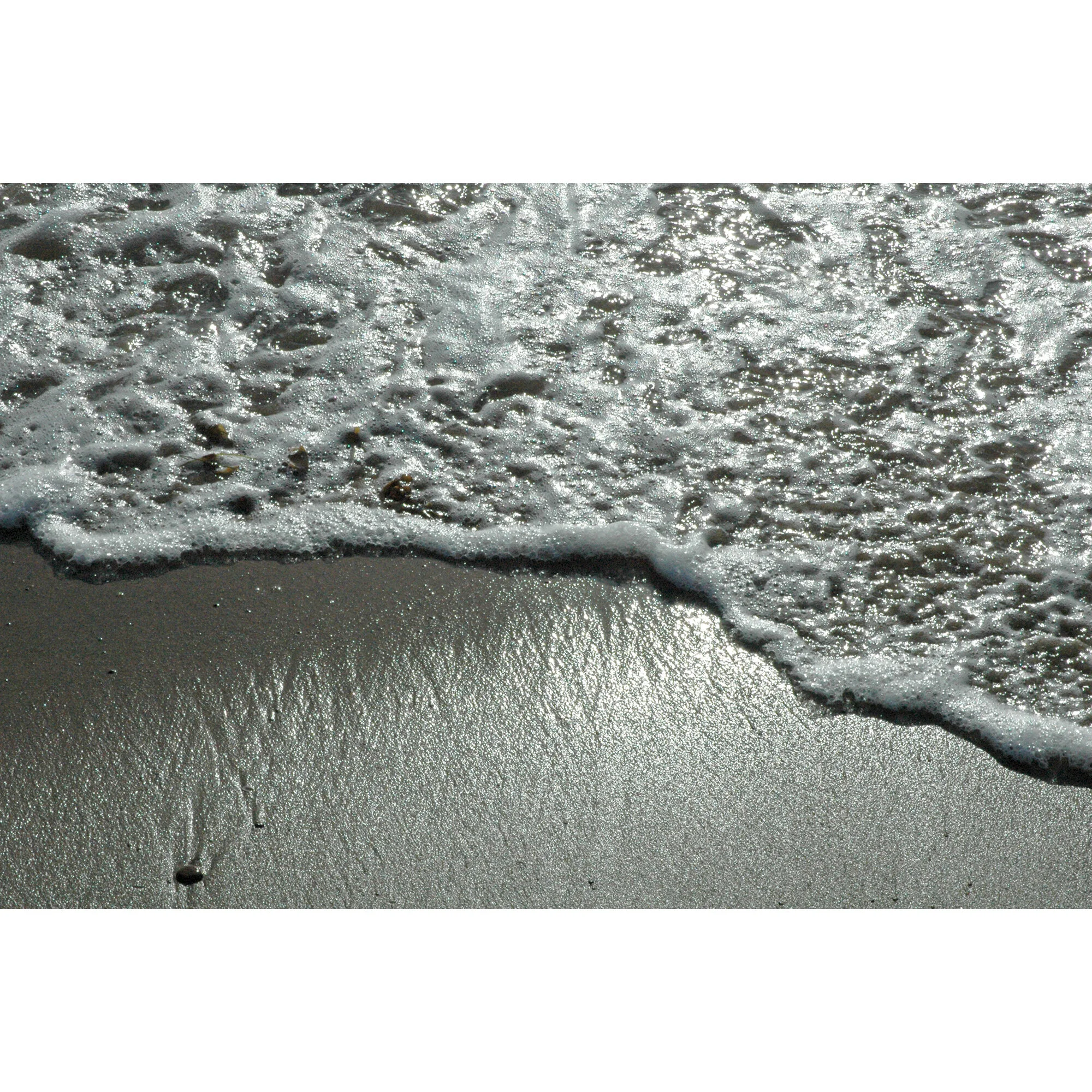 "Wave" Photo by Kay Phelps