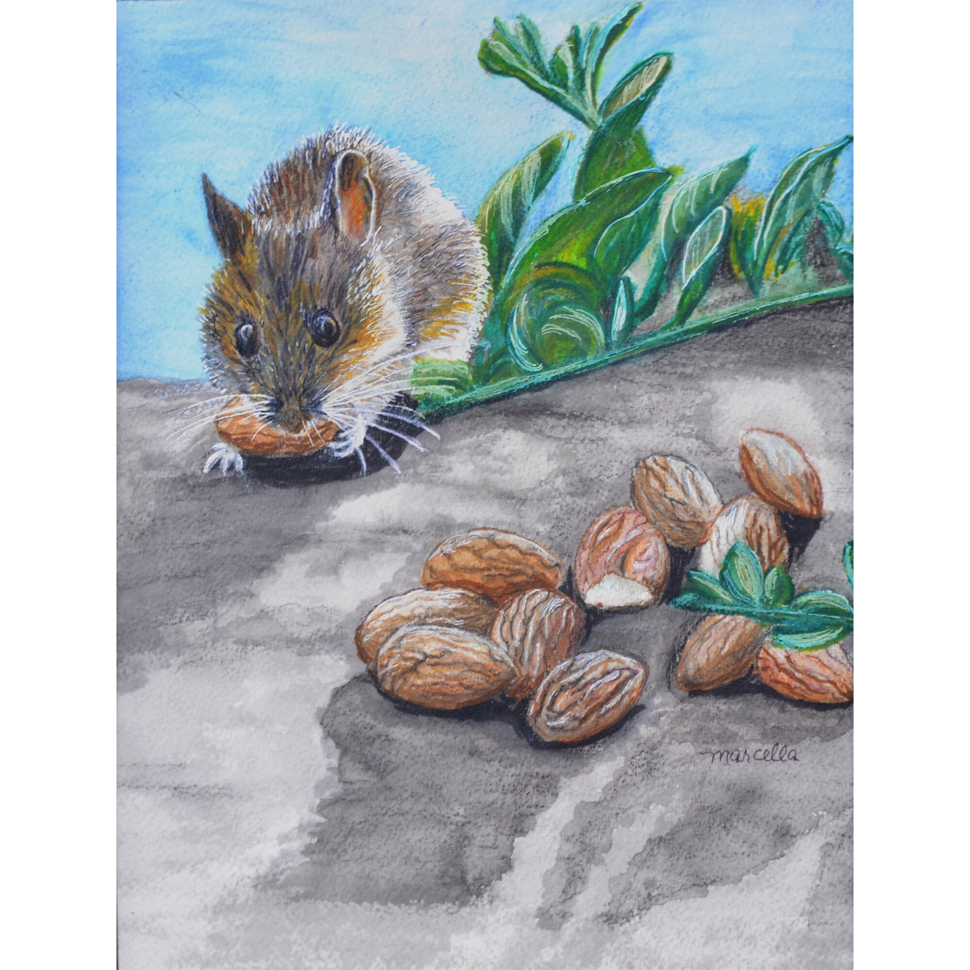 "Mouse Eating Almonds" Print of Painting by Marcella Chapman