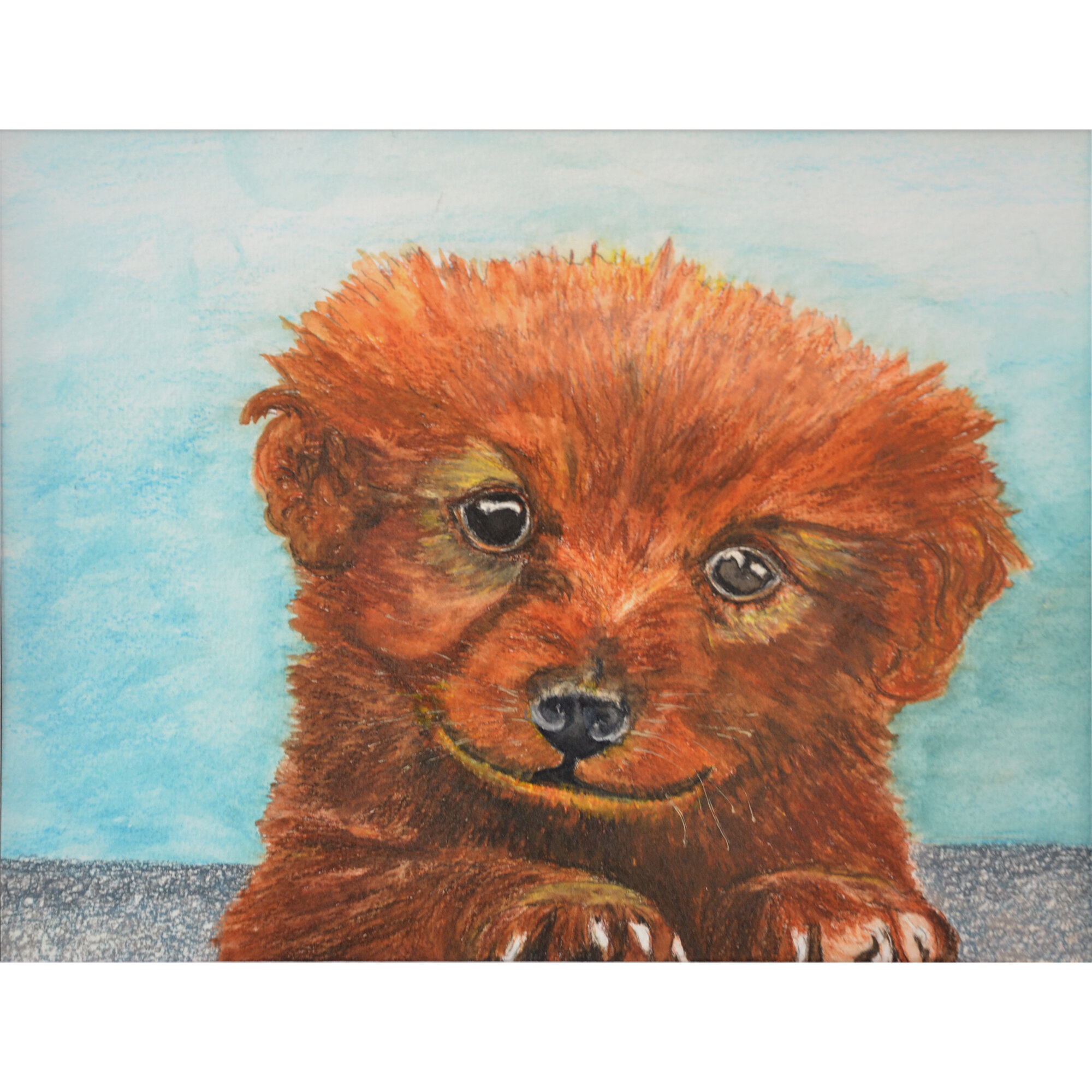 "Russ" Print of Drawing by Marcella Chapman