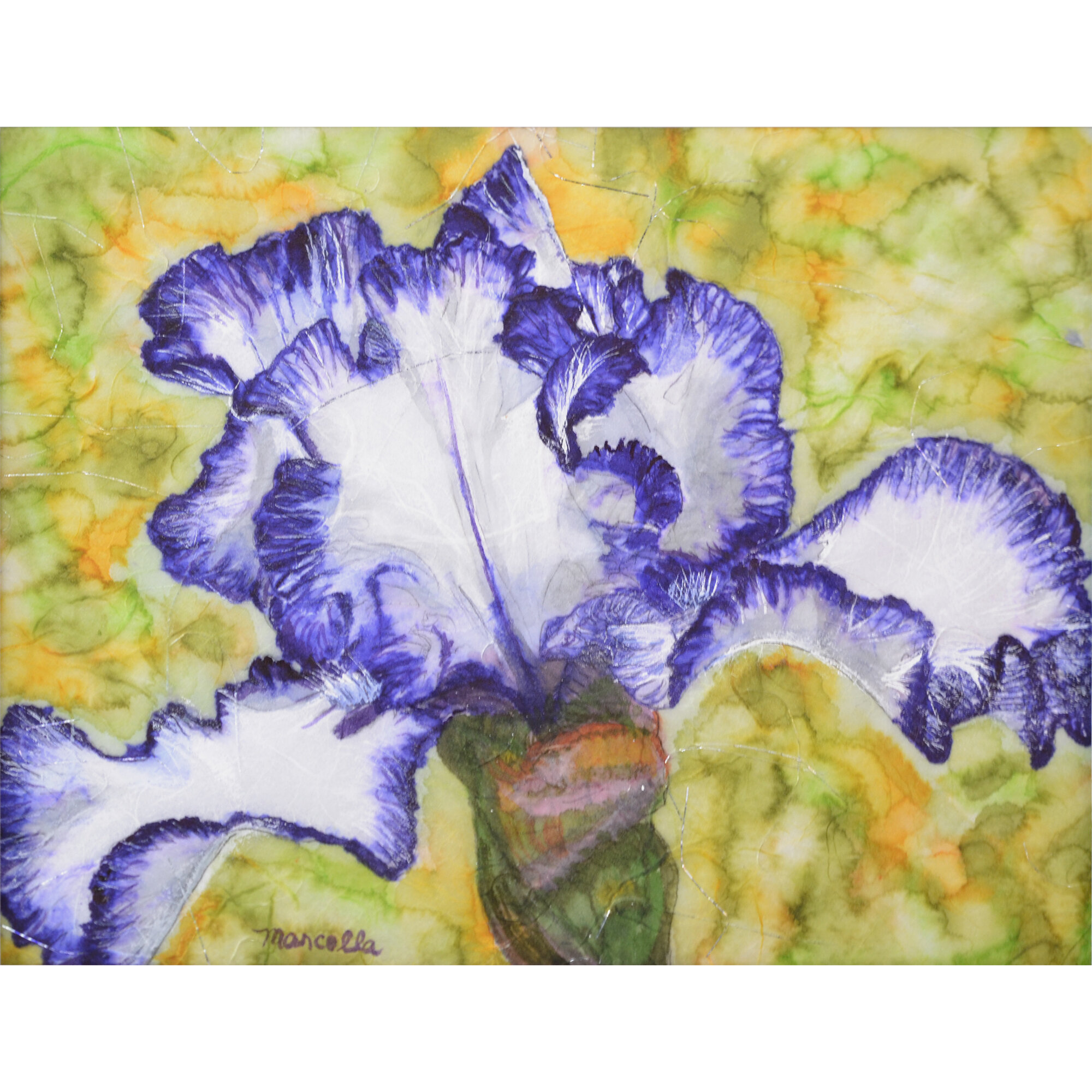 "Iris" Print of Painting by Marcella Chapman
