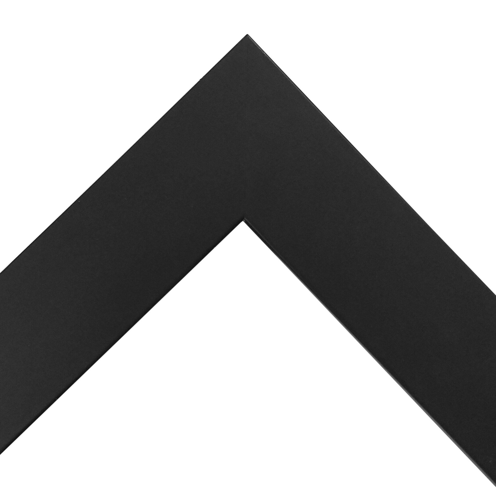 Your Own 16x20 Photo Printed & Framed- Black Frame