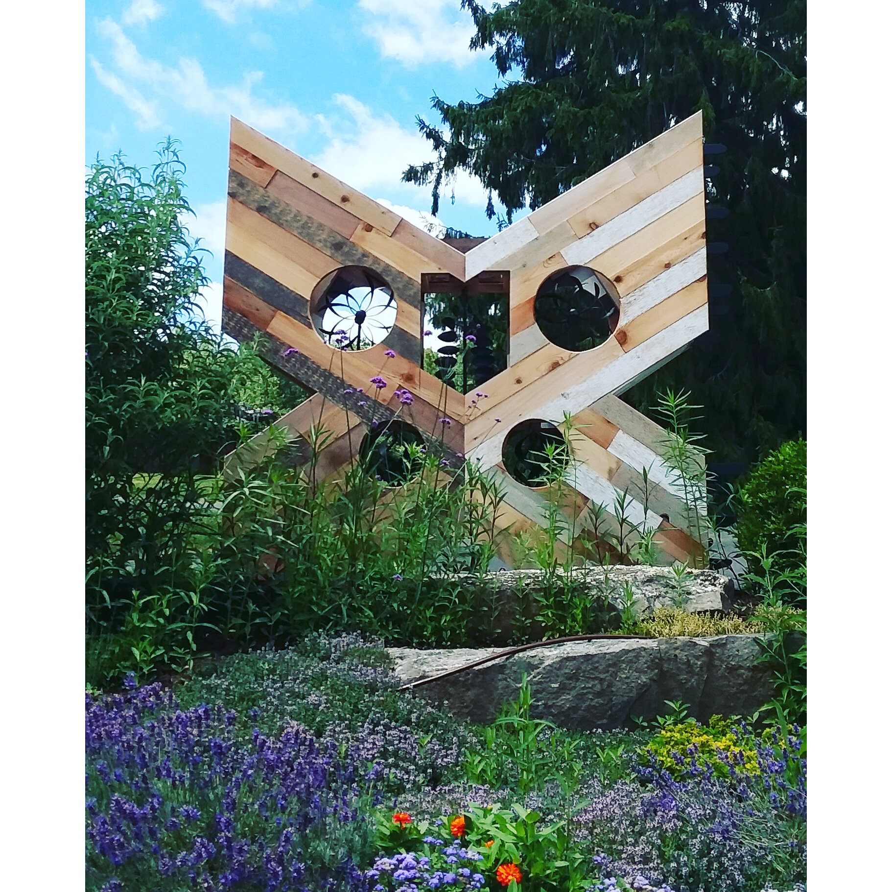 "Wood Wings" Unframed Print