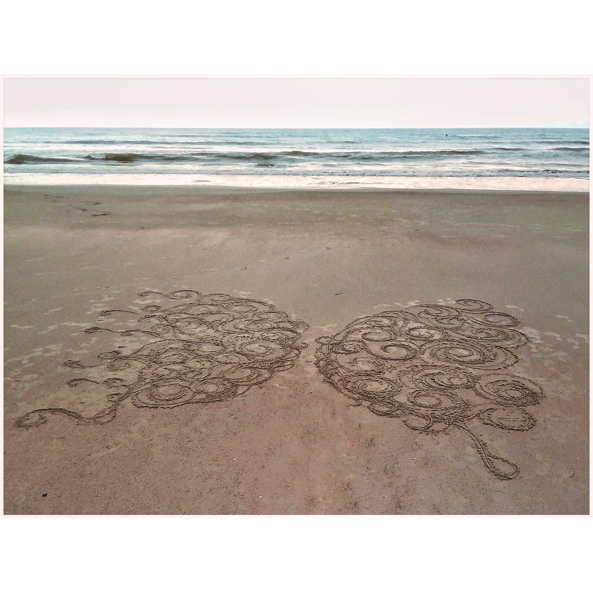 "Sand Butterfly" Unframed Print