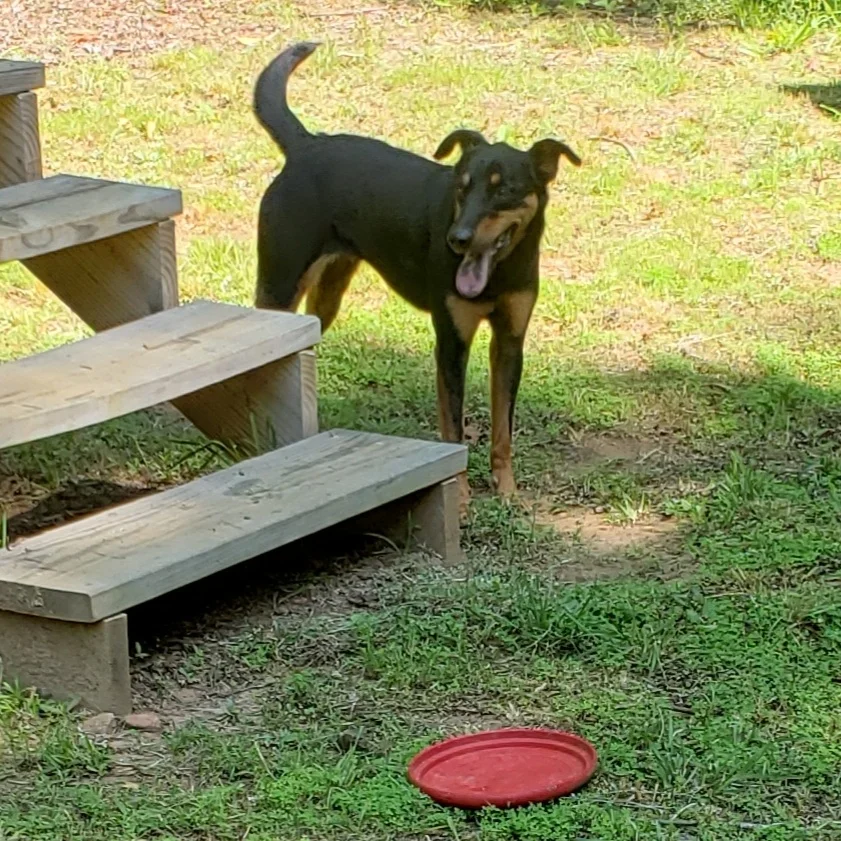 20190528_110153.jpg