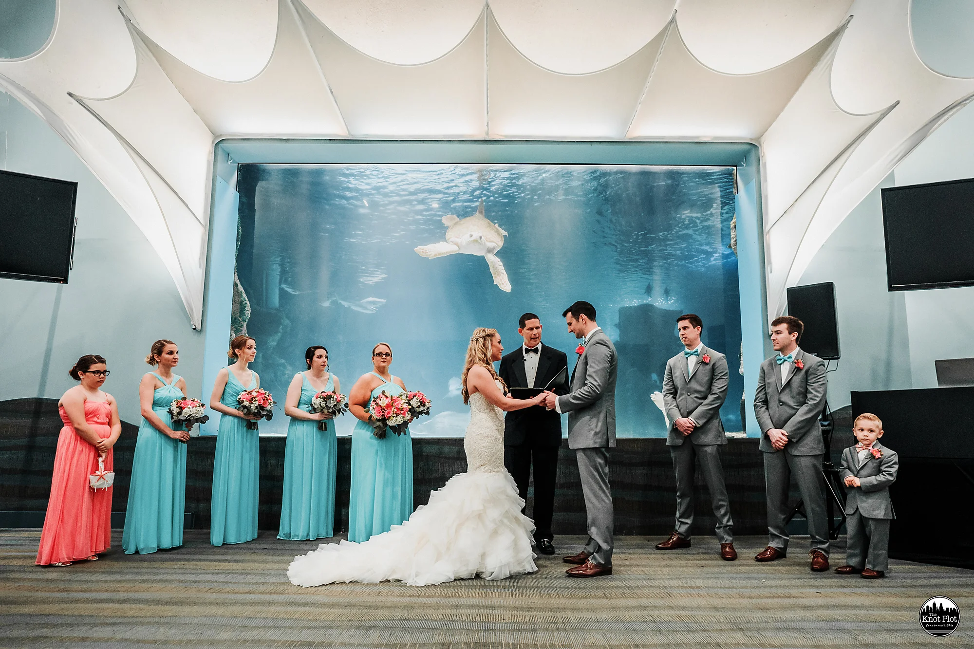 Newport-Aquarium-Wedding-Photos-15.jpg