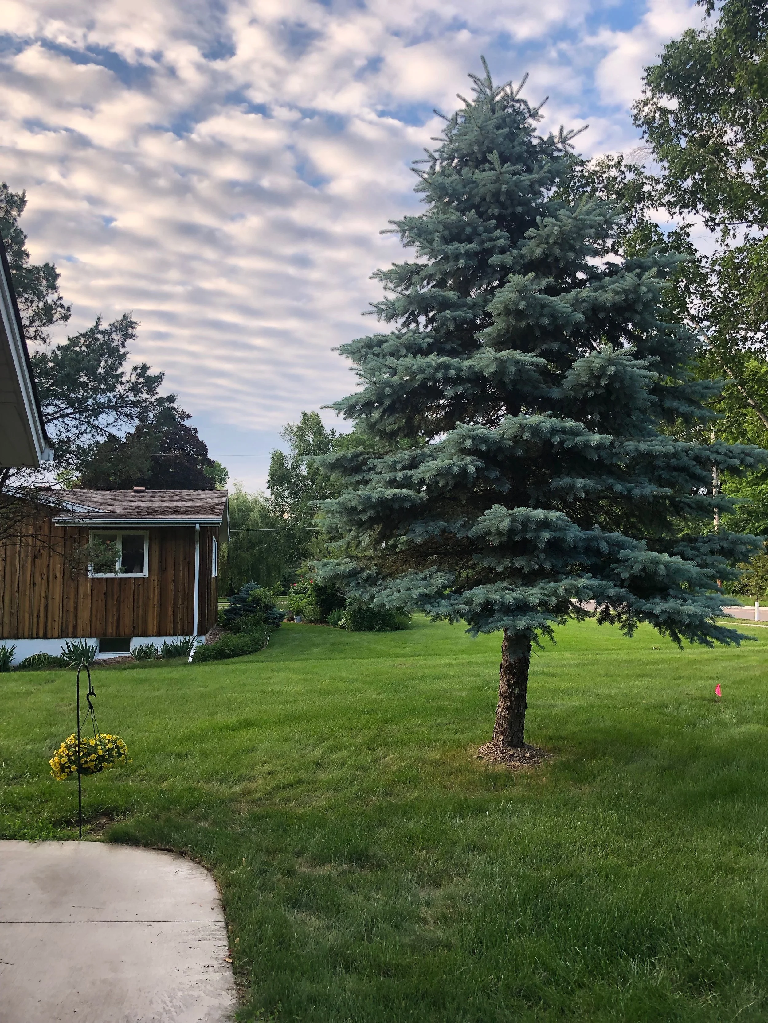 Beautiful View of Front Yard