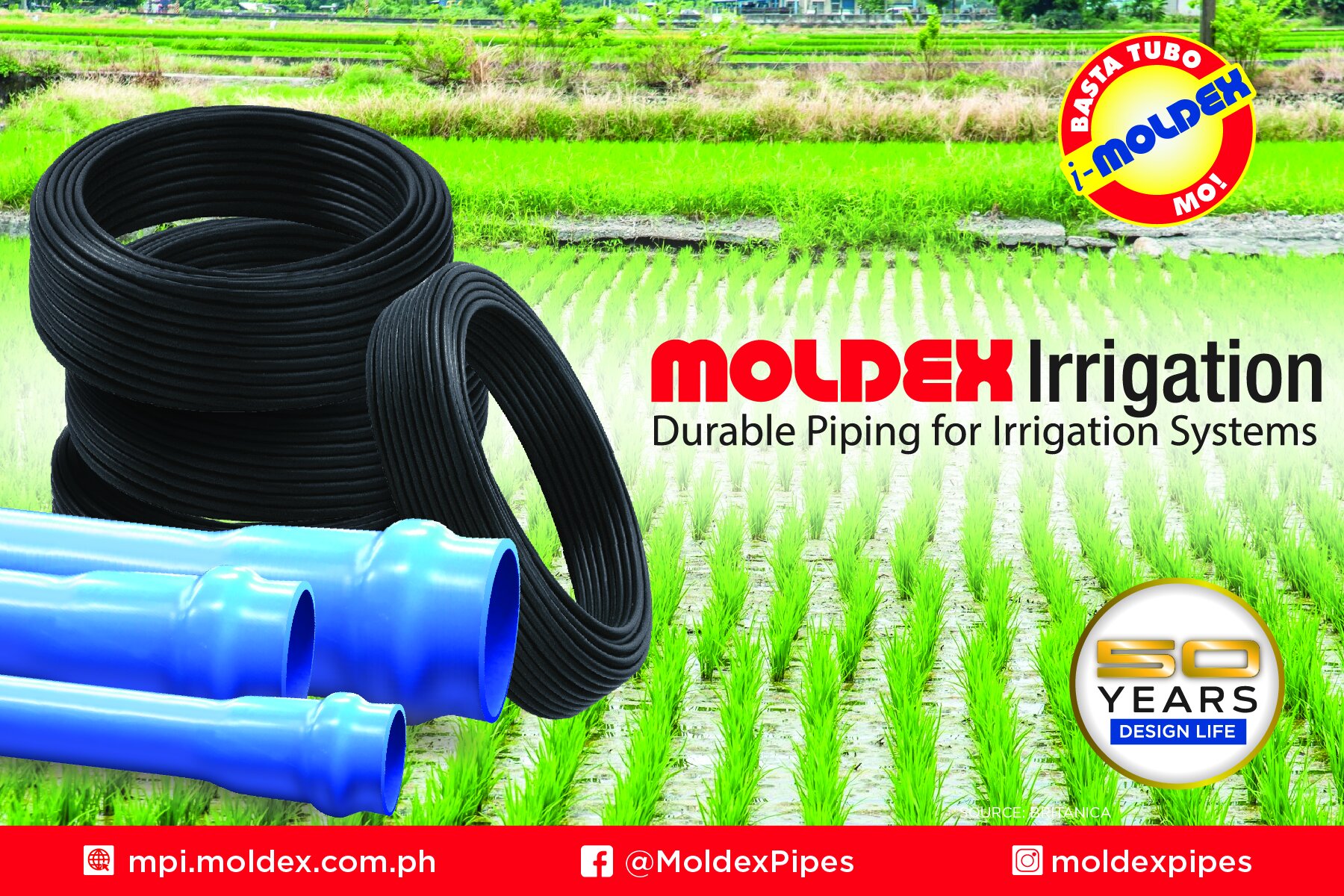 Irrigation Pipe