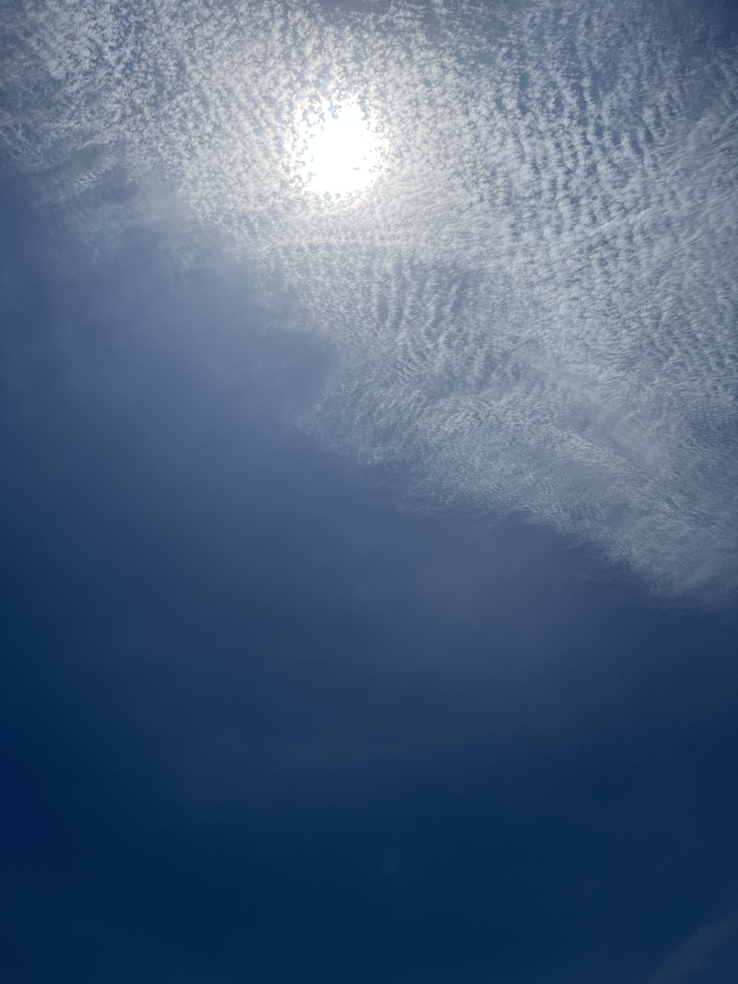 galvestonsun.jpg