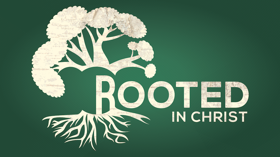 Refuge Reunion: “Rooted”
