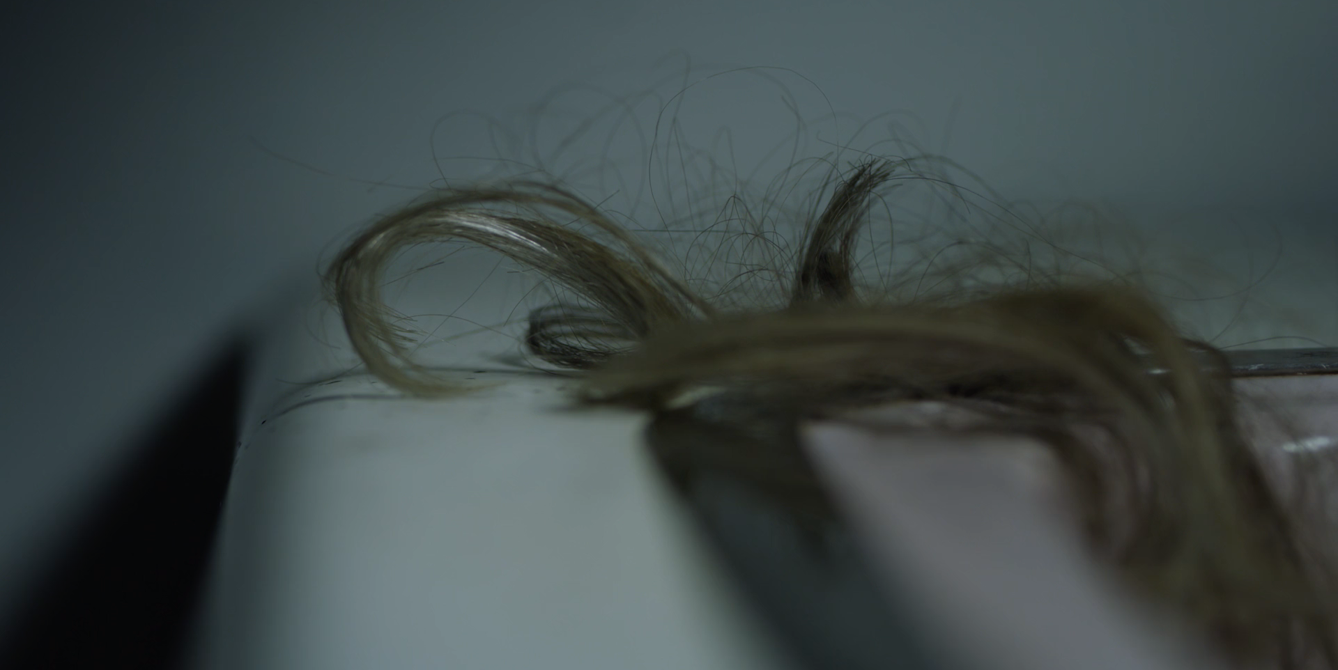 Screen Shot 2019-02-26 at 11.08.36 am.png