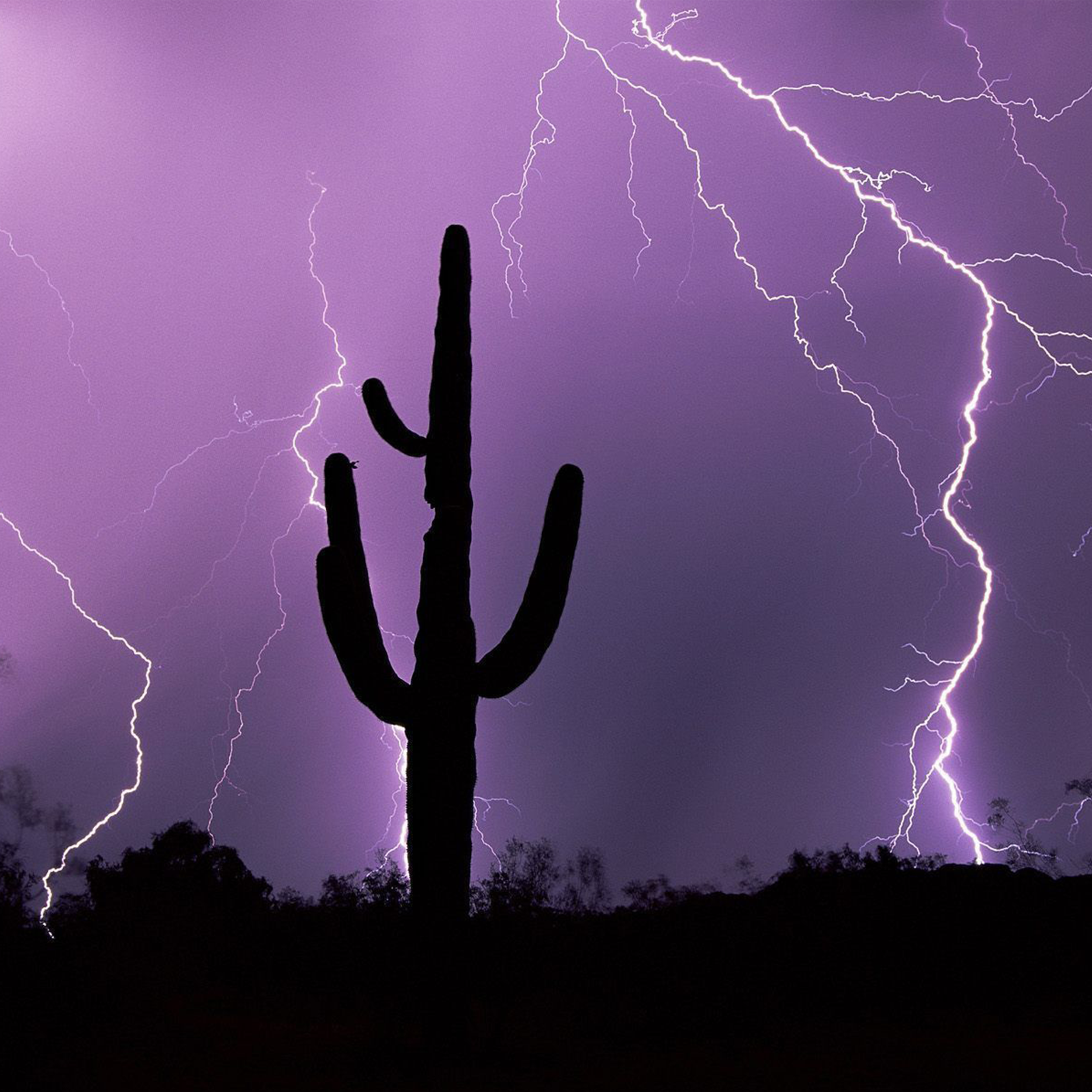 Storm 2500x2500.png