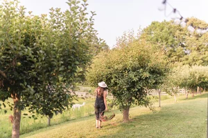 Tips for the Ellen White Tree Planting Method - Azure Farm