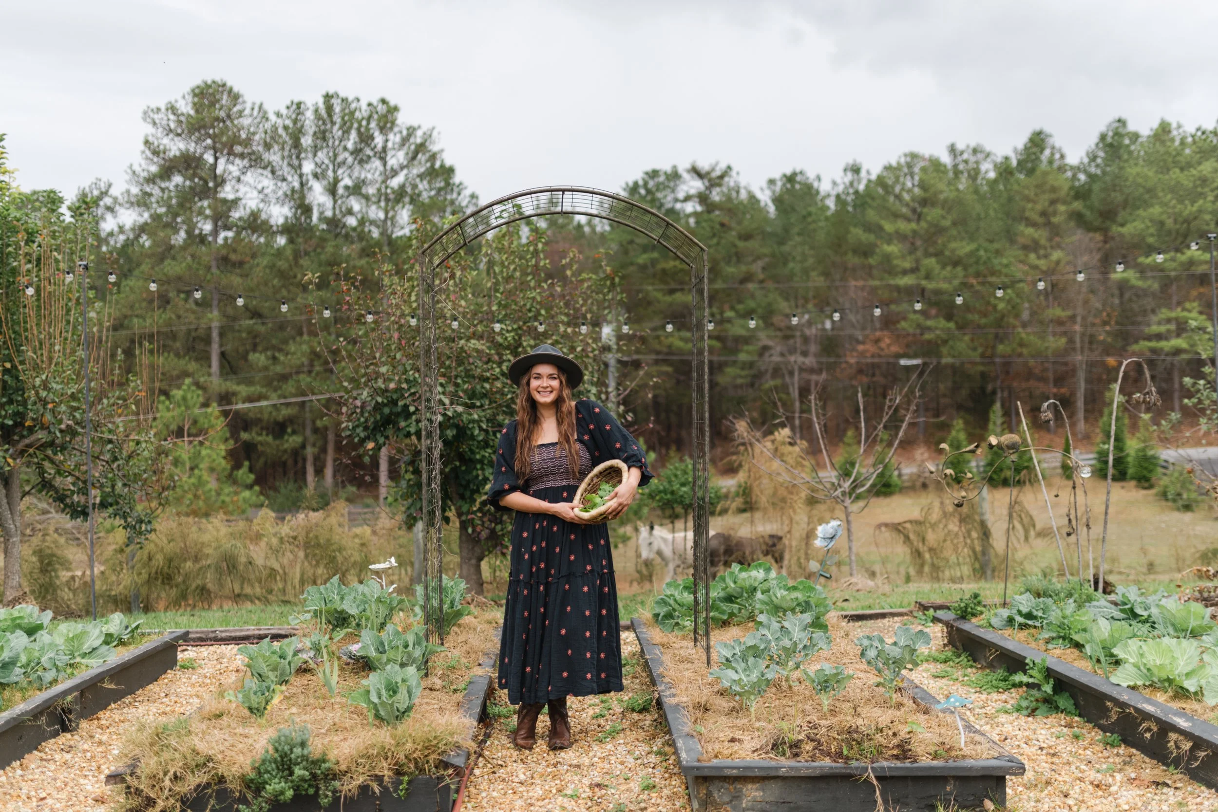 My Complete Guide to Growing Cabbage: From Seed to Harvest