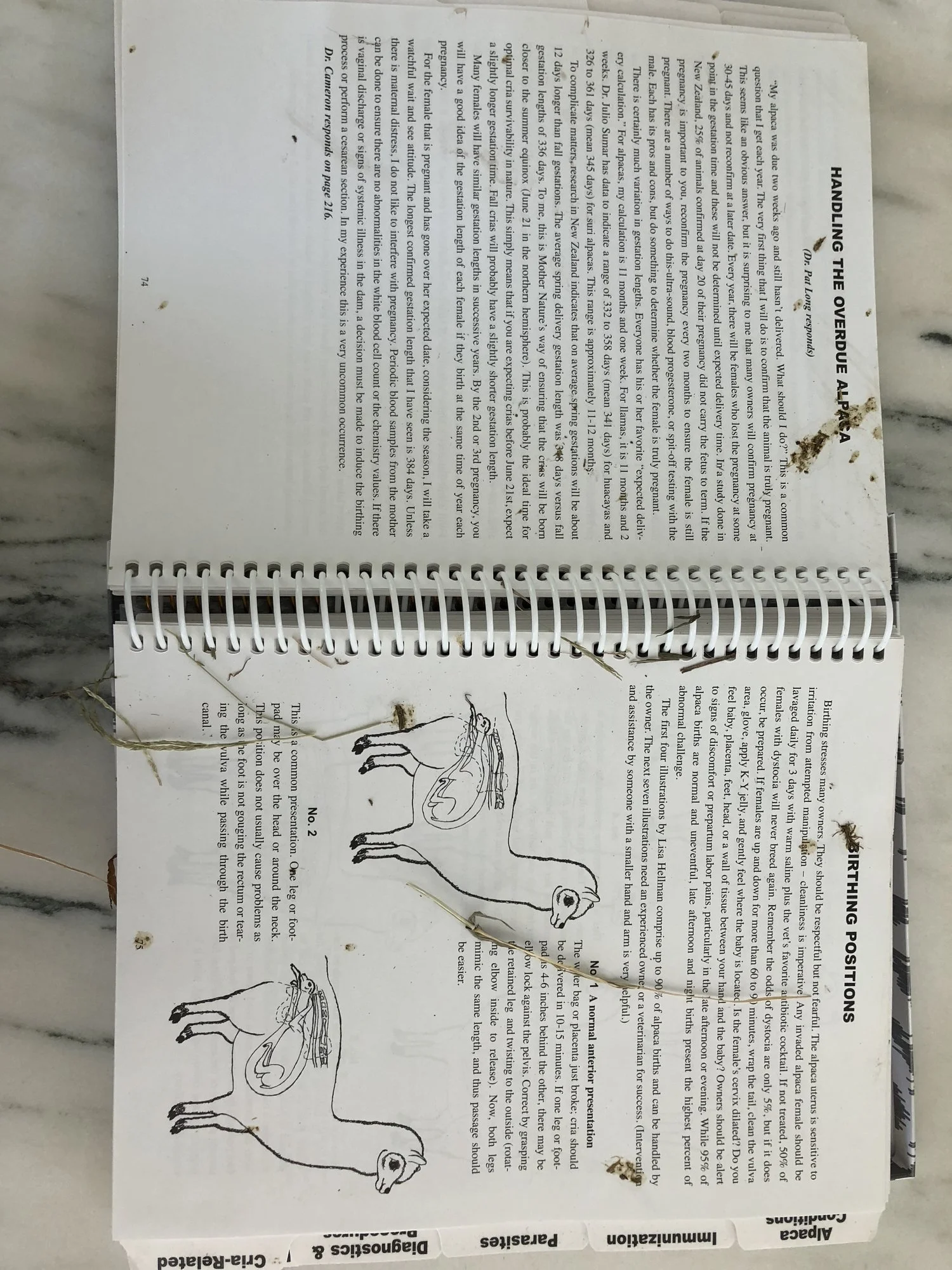 Here's the book! You can tell the book got a bit dirty in the process.