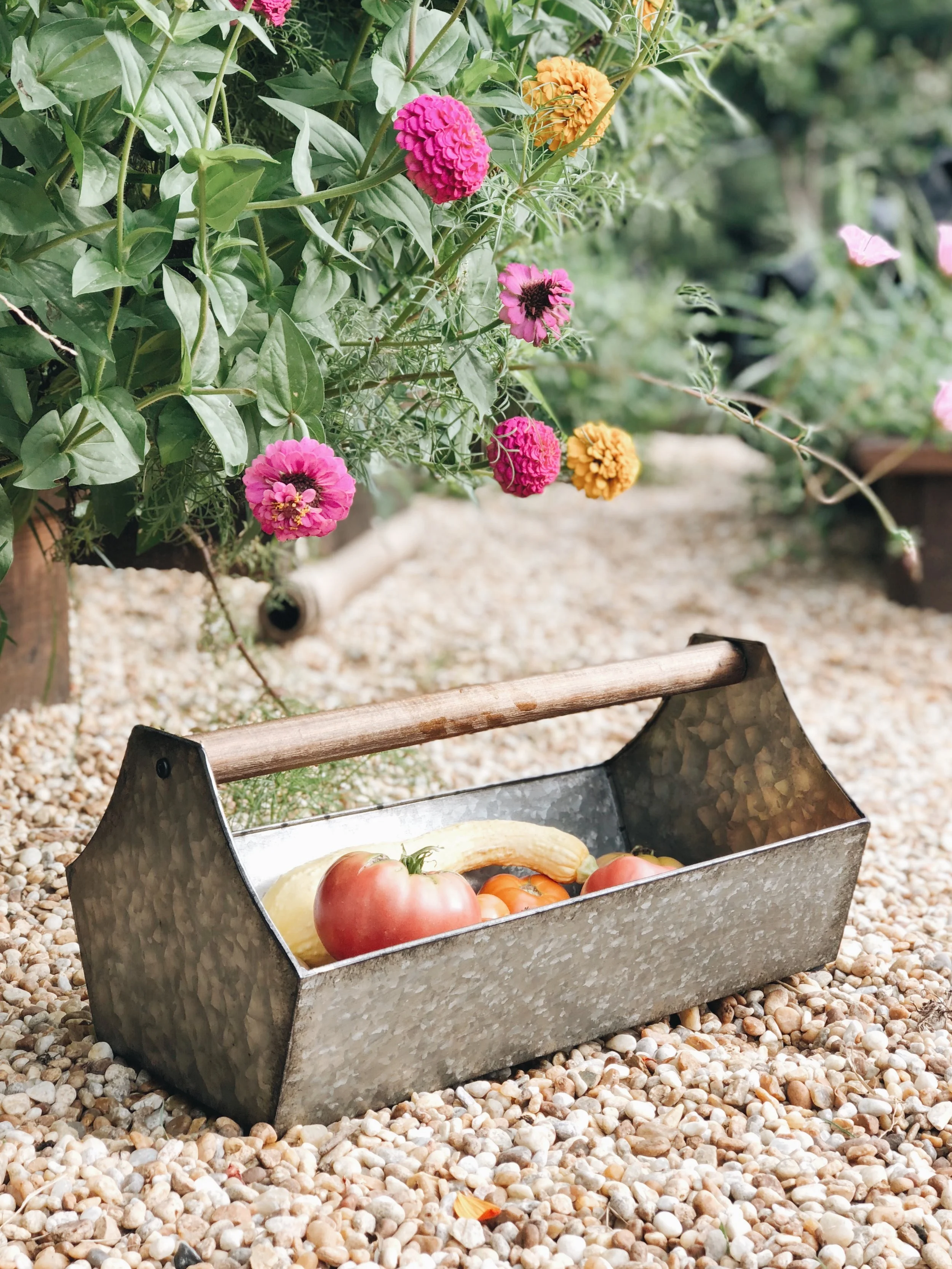Garden Planning Printables