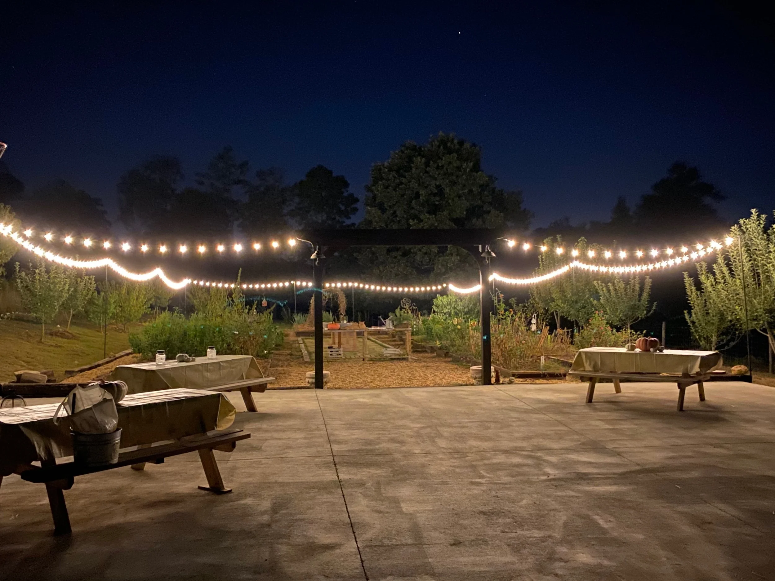 Garden Twinkle Lights 